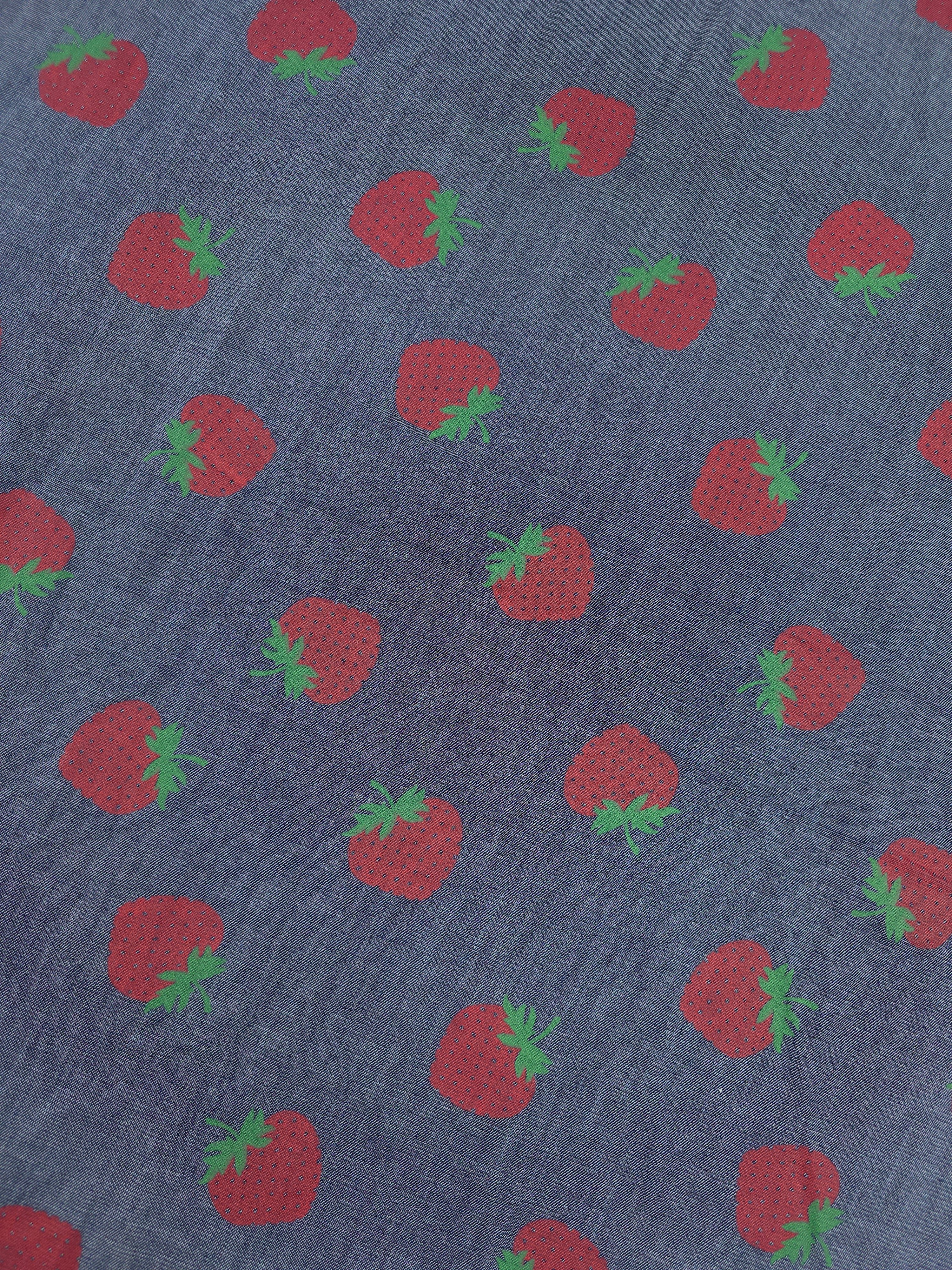 Strawberry Chambray