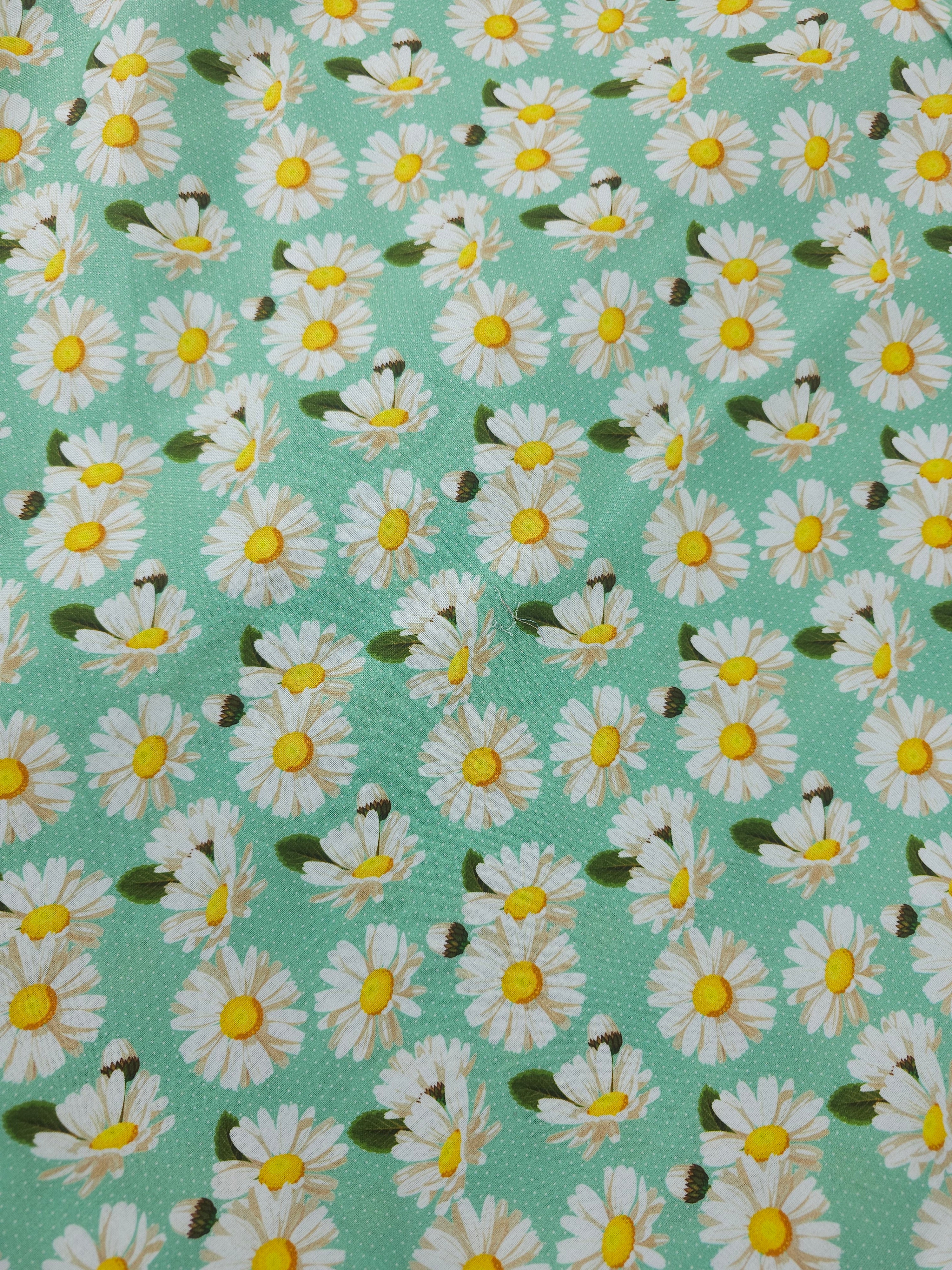 Mint daisy Cotton- 4m piece