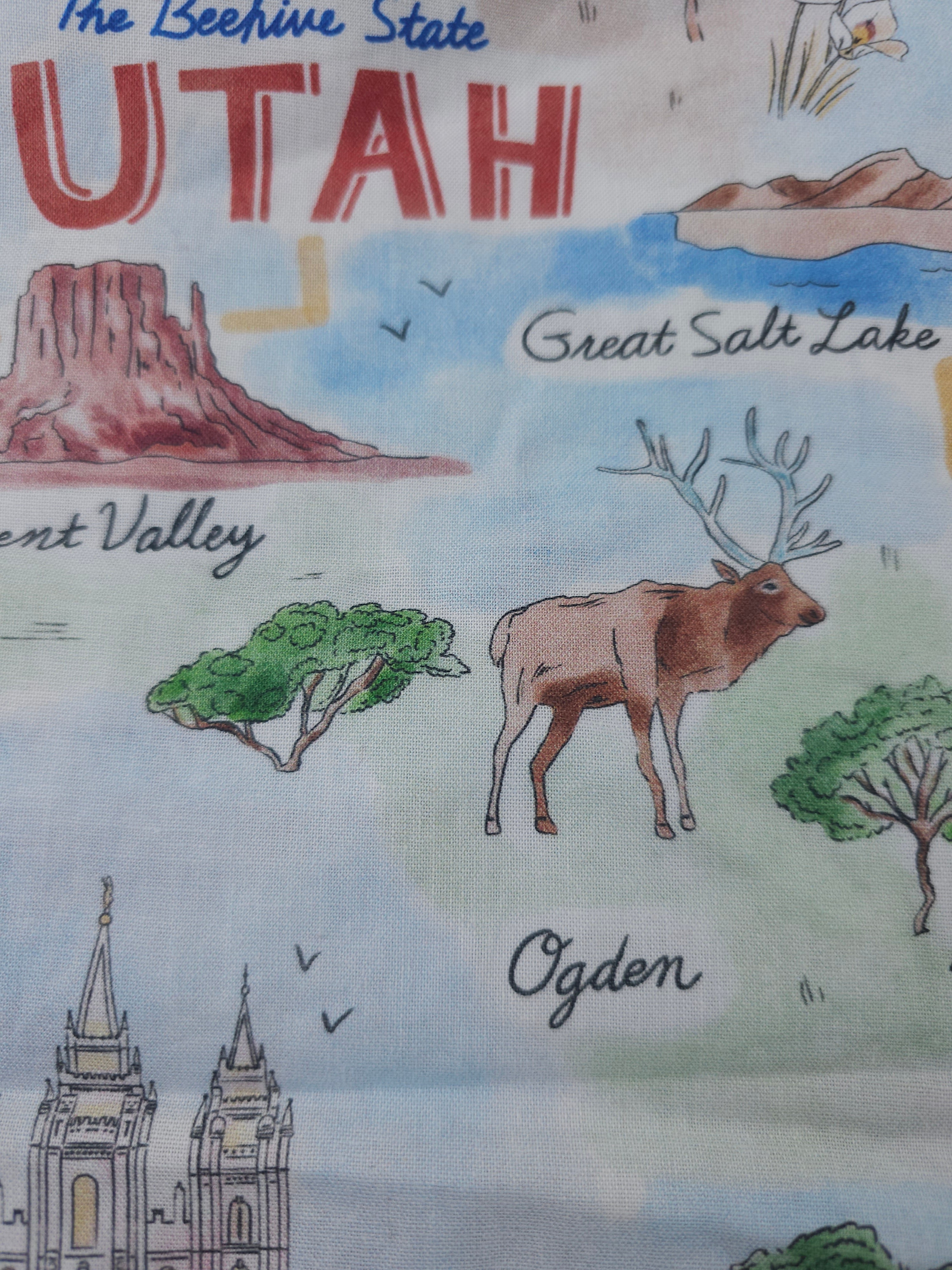 Utah Cotton- 1.6m piece