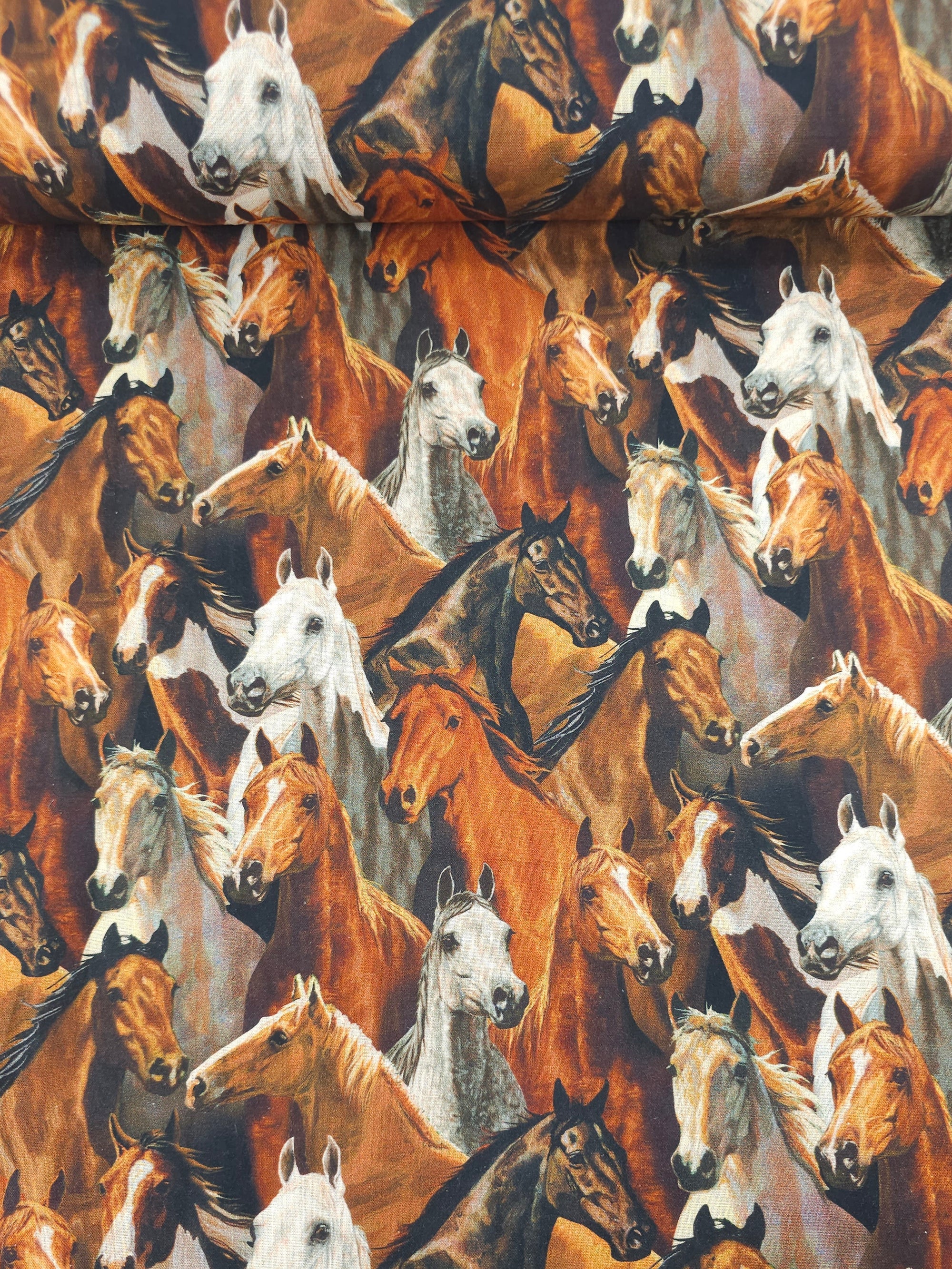 Horse Kingdom 100% Cotton