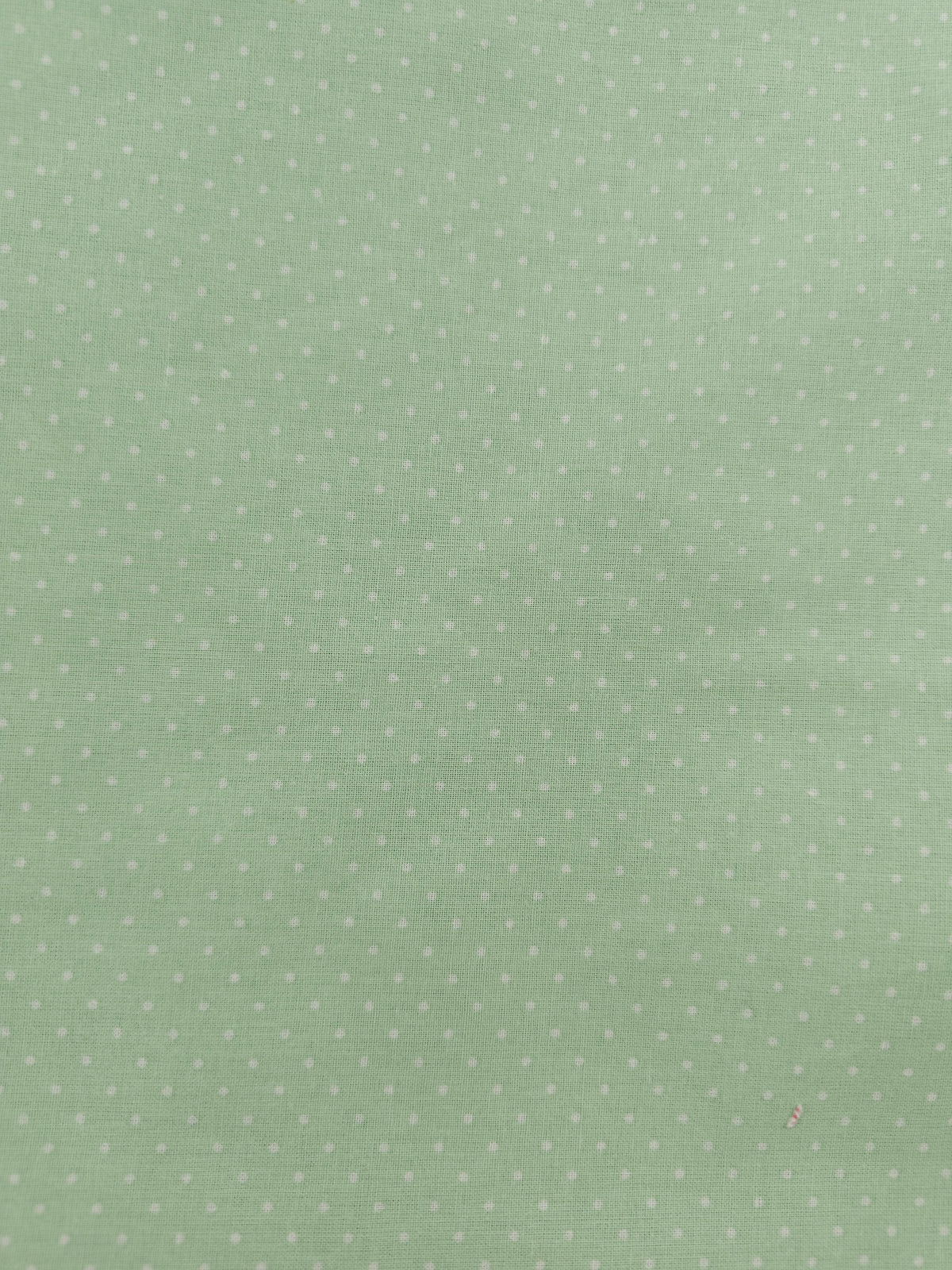 Mint dotted Cotton- 2m piece
