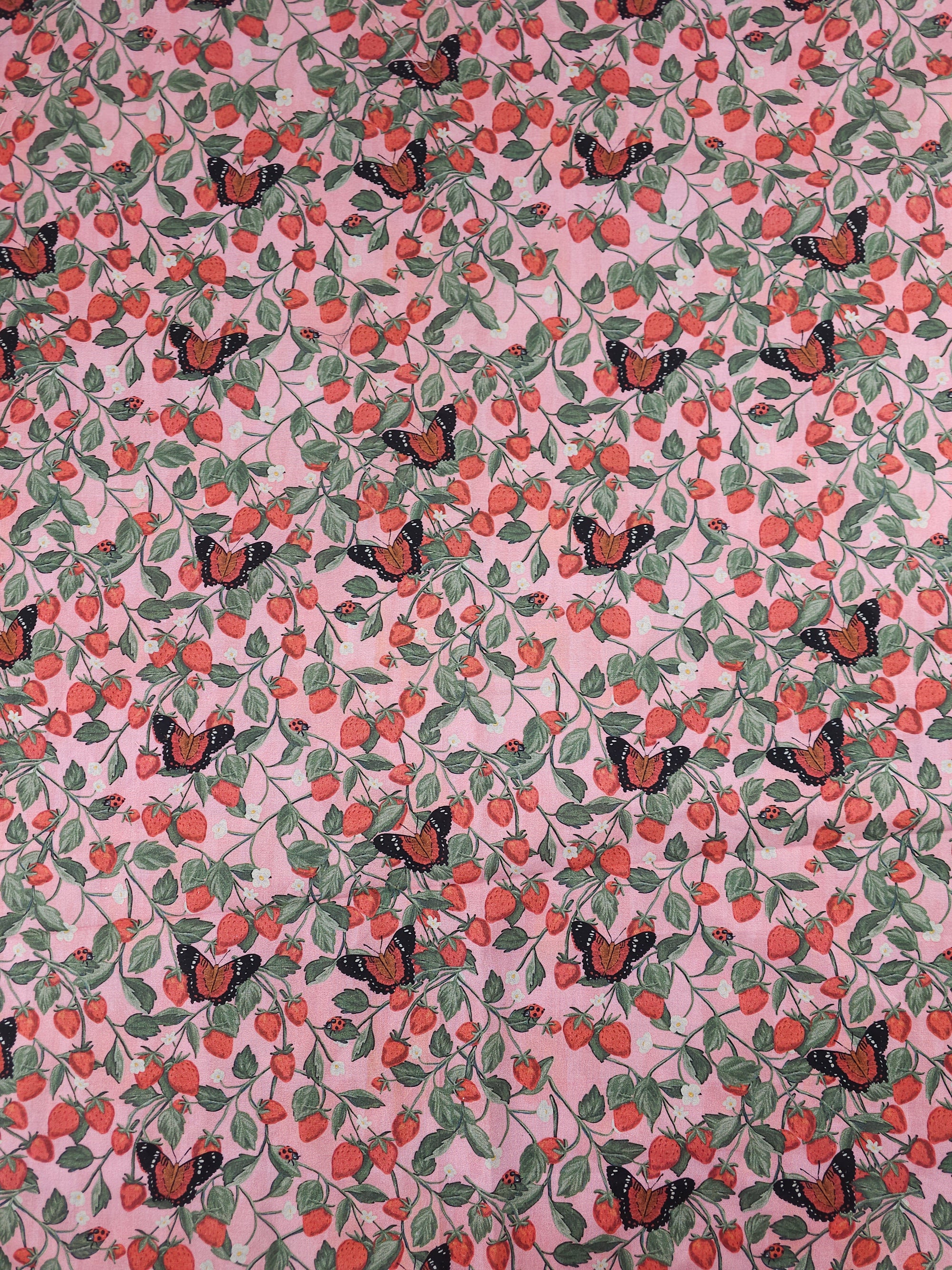 Berry Butterflies Cotton - (Various Sizes)