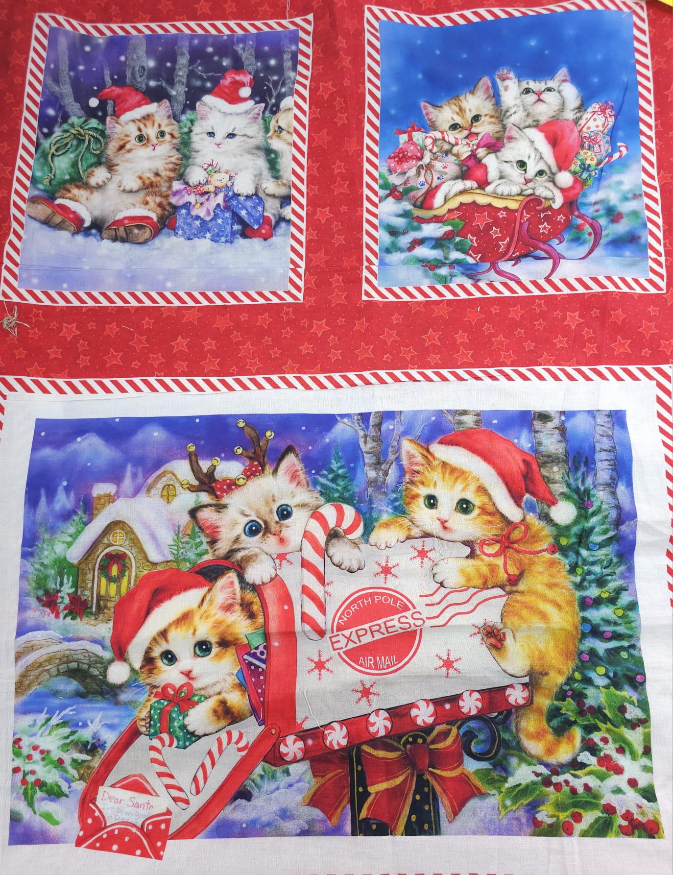 Kitten Christmas Block Panel Cotton - 2m Piece