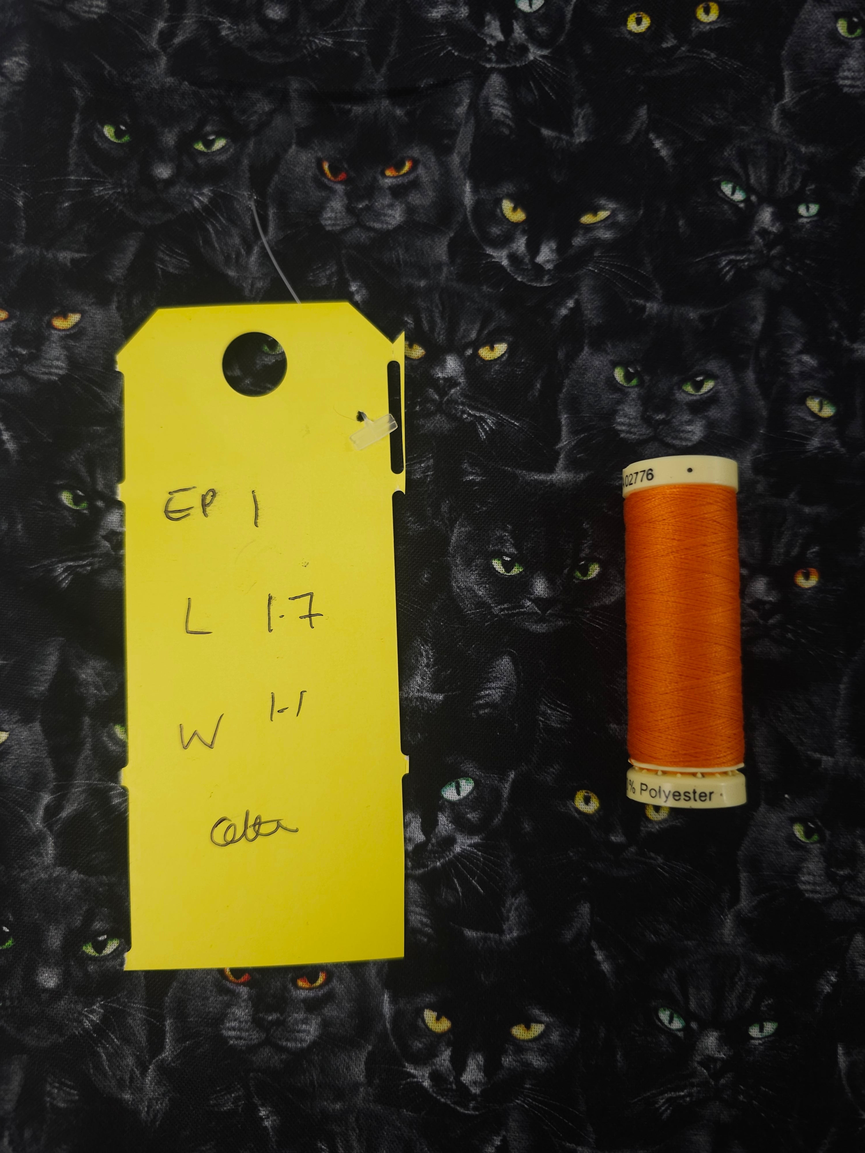 Black cat Cotton- 1.7m piece