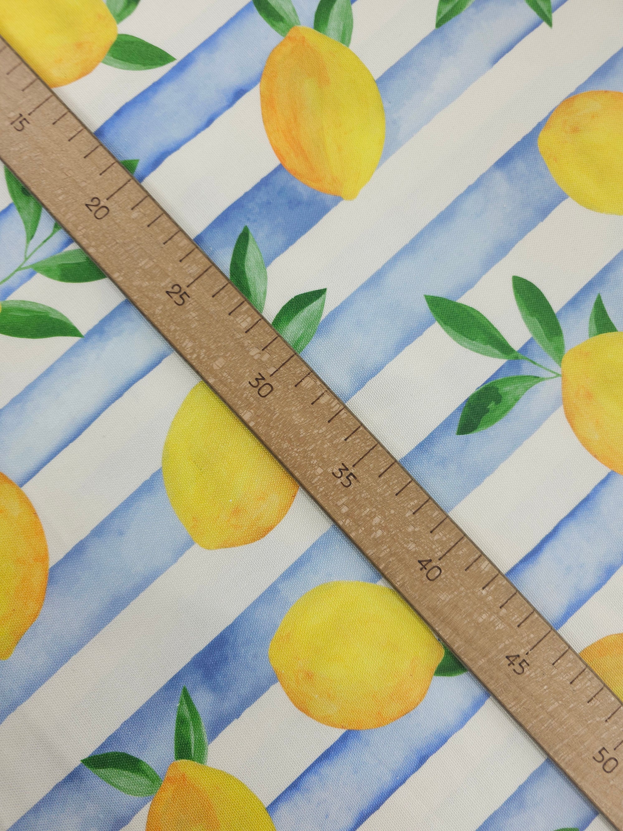 Falling Lemons Block Stripe Lightweight Canvas Cotton