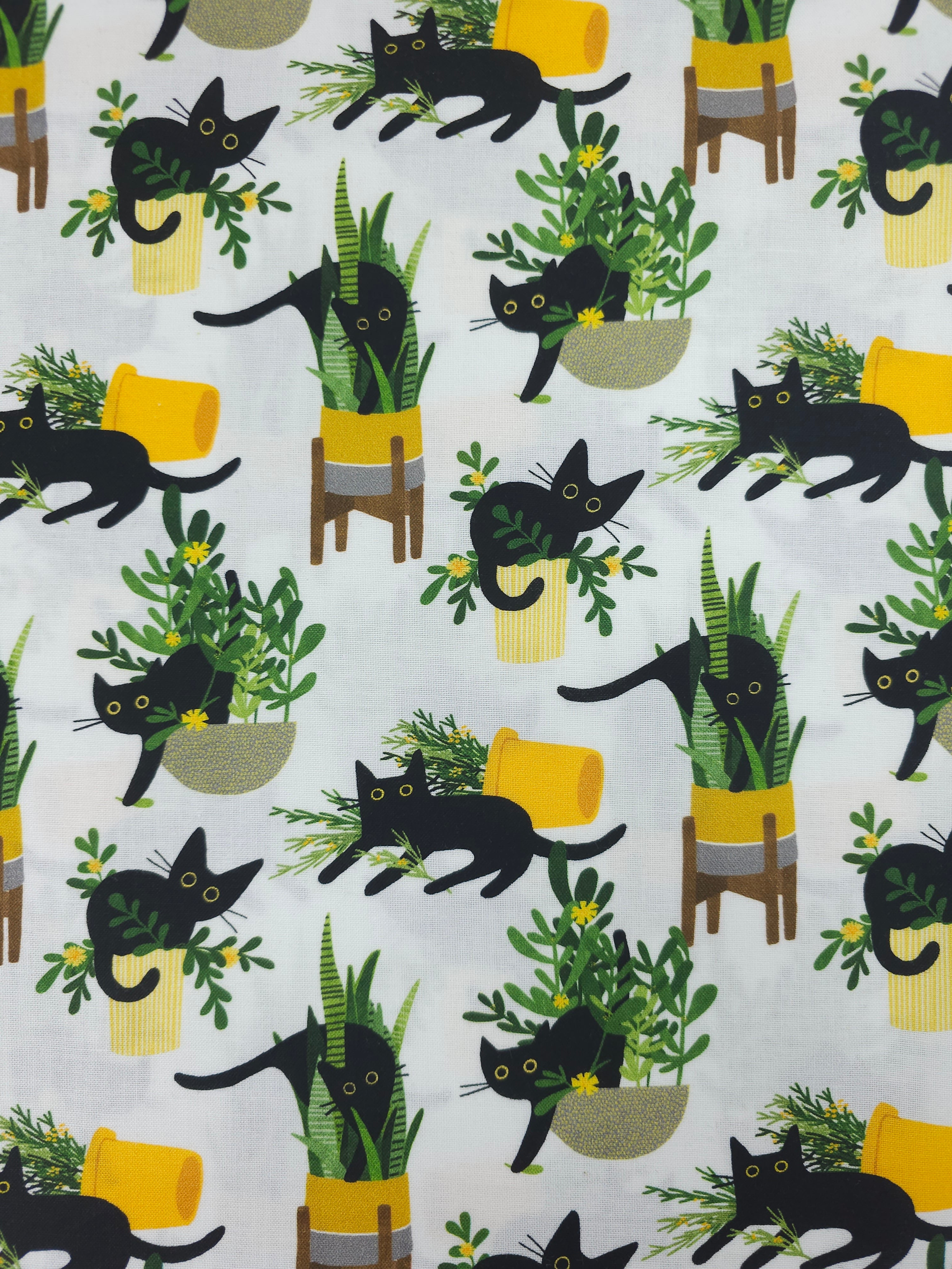 House Cat 100% Cotton