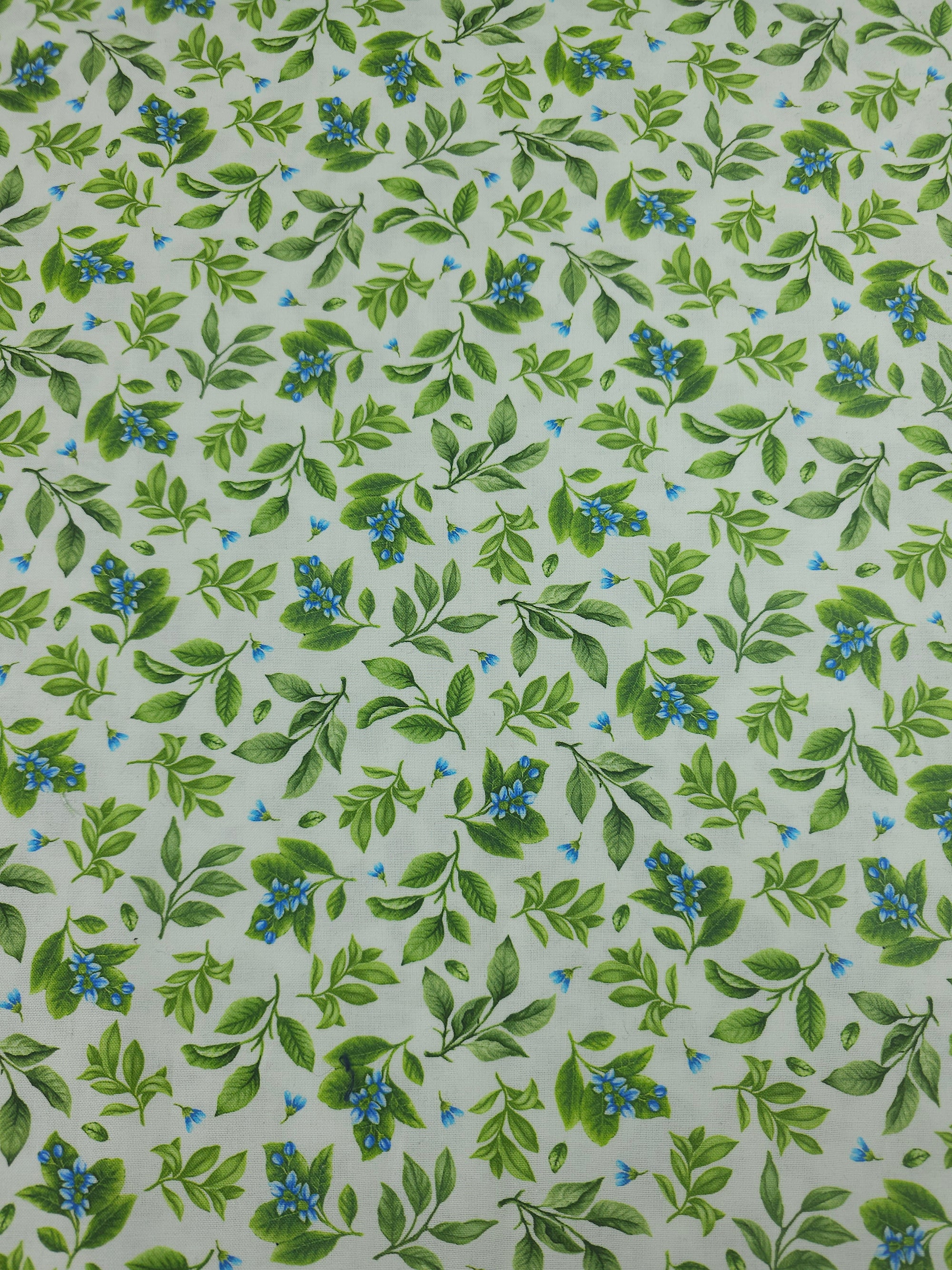 Light Green/Blue Leaf Floral 100% Cotton
