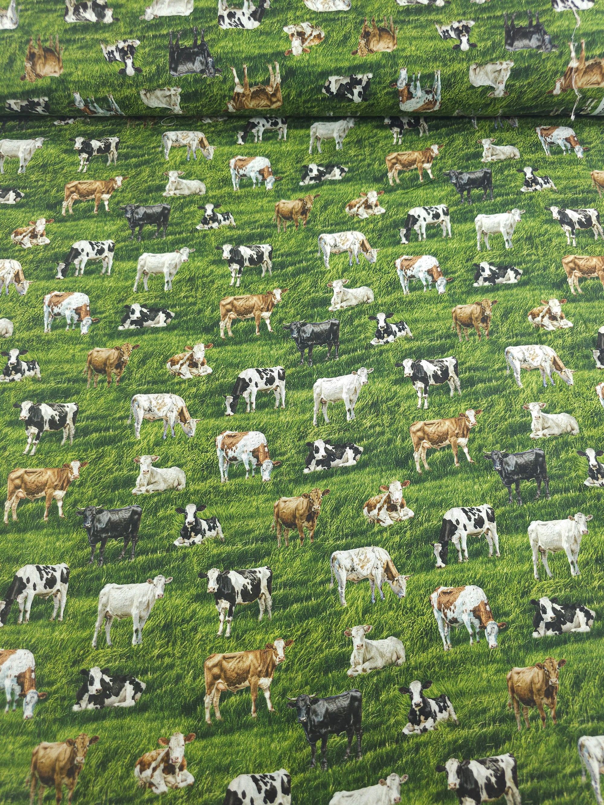 Cows On The Country Field 100% Cotton