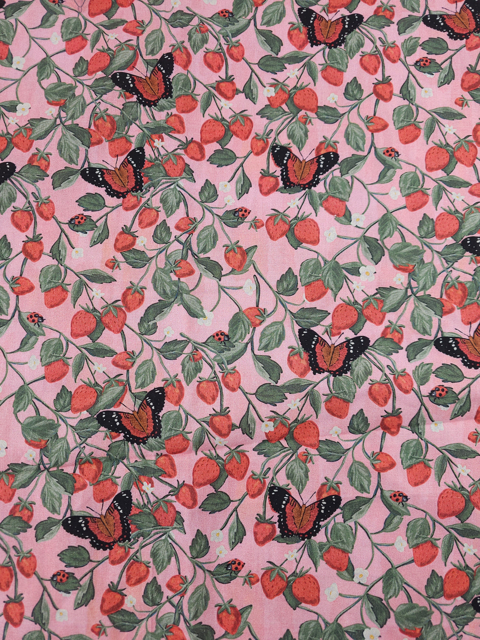 Berry Butterflies Cotton - (Various Sizes)