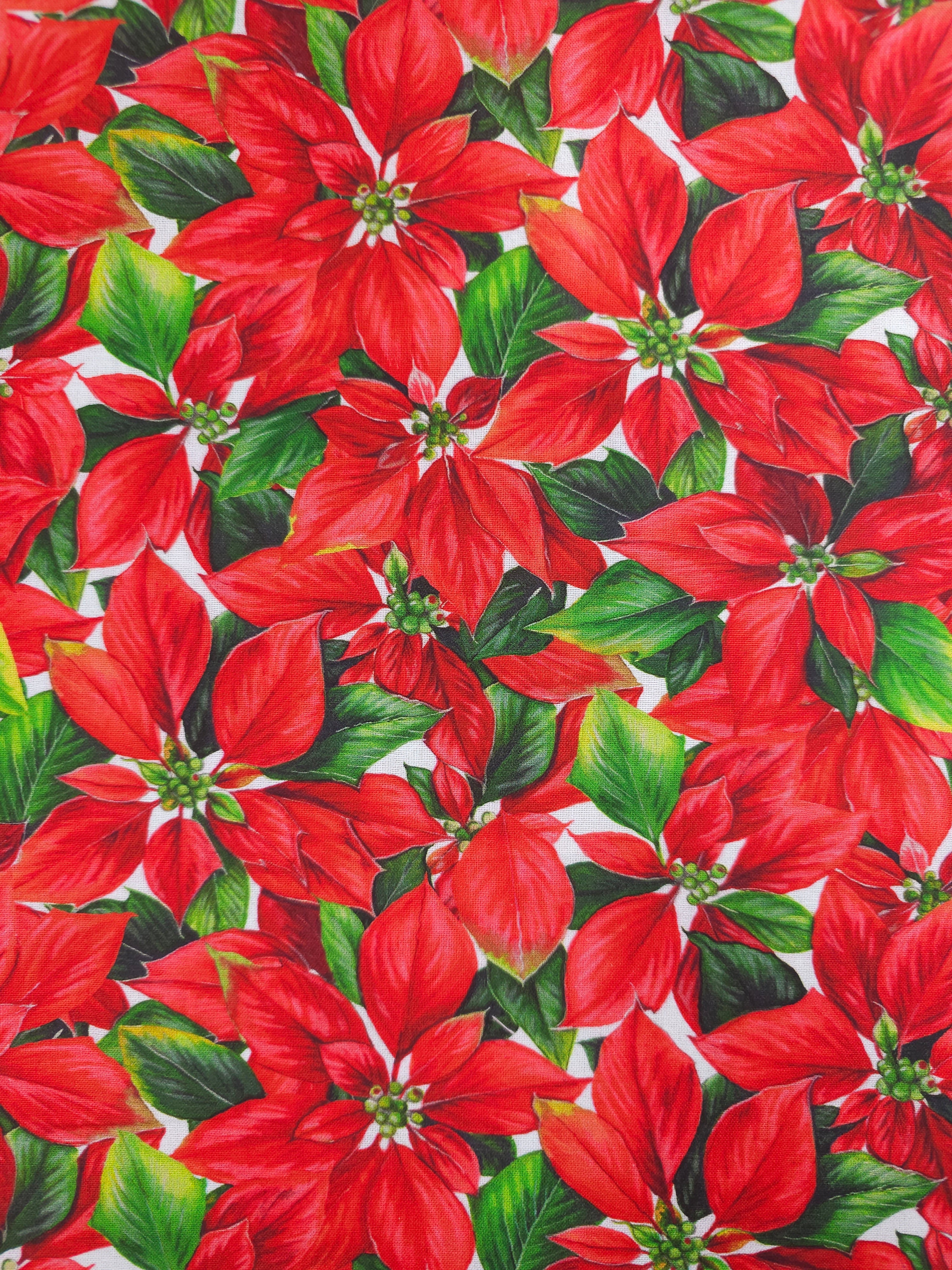 Red Poinsettia Floral 100% Cotton
