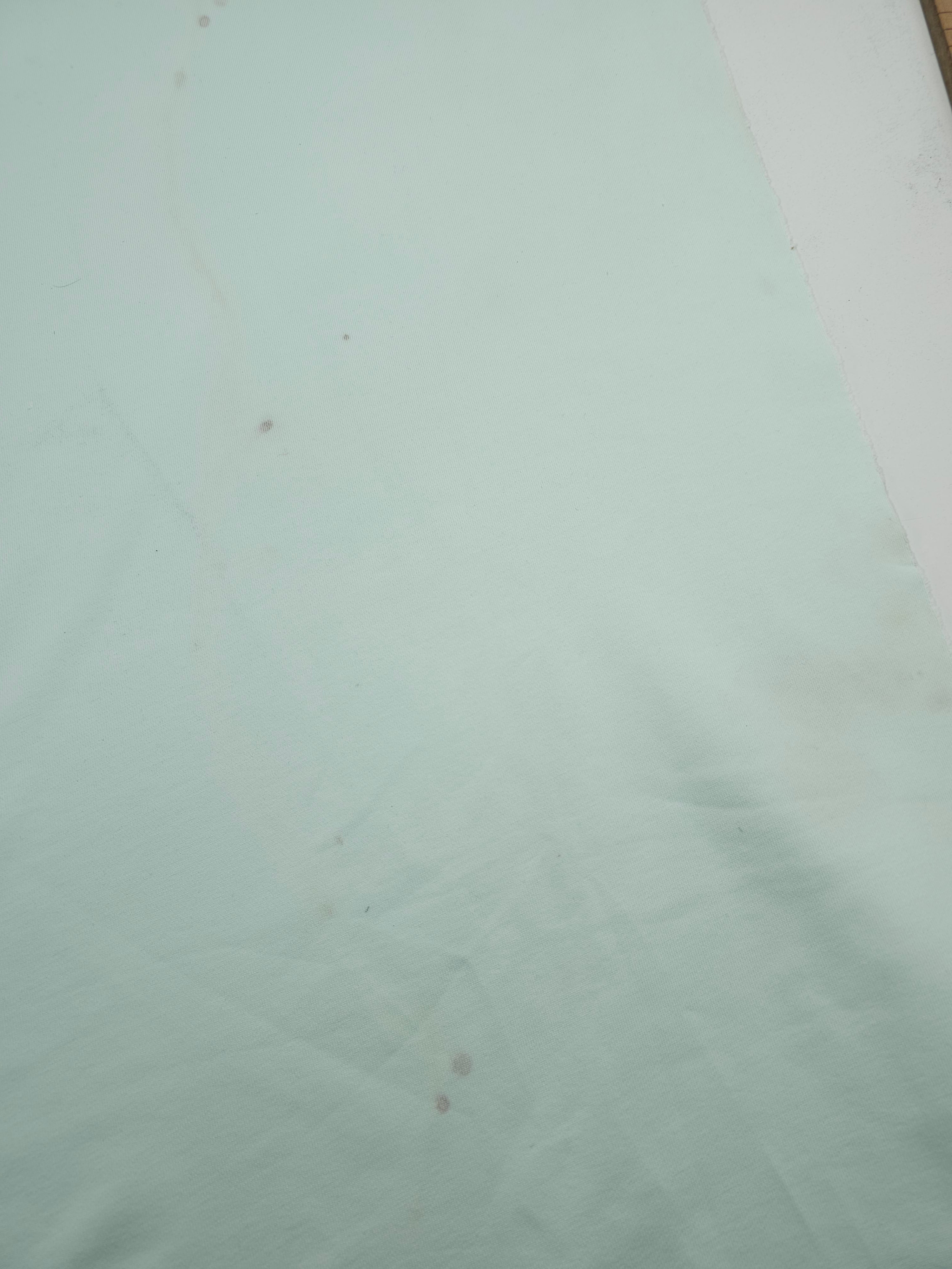 Mint Loopback Terry *DEFECT*