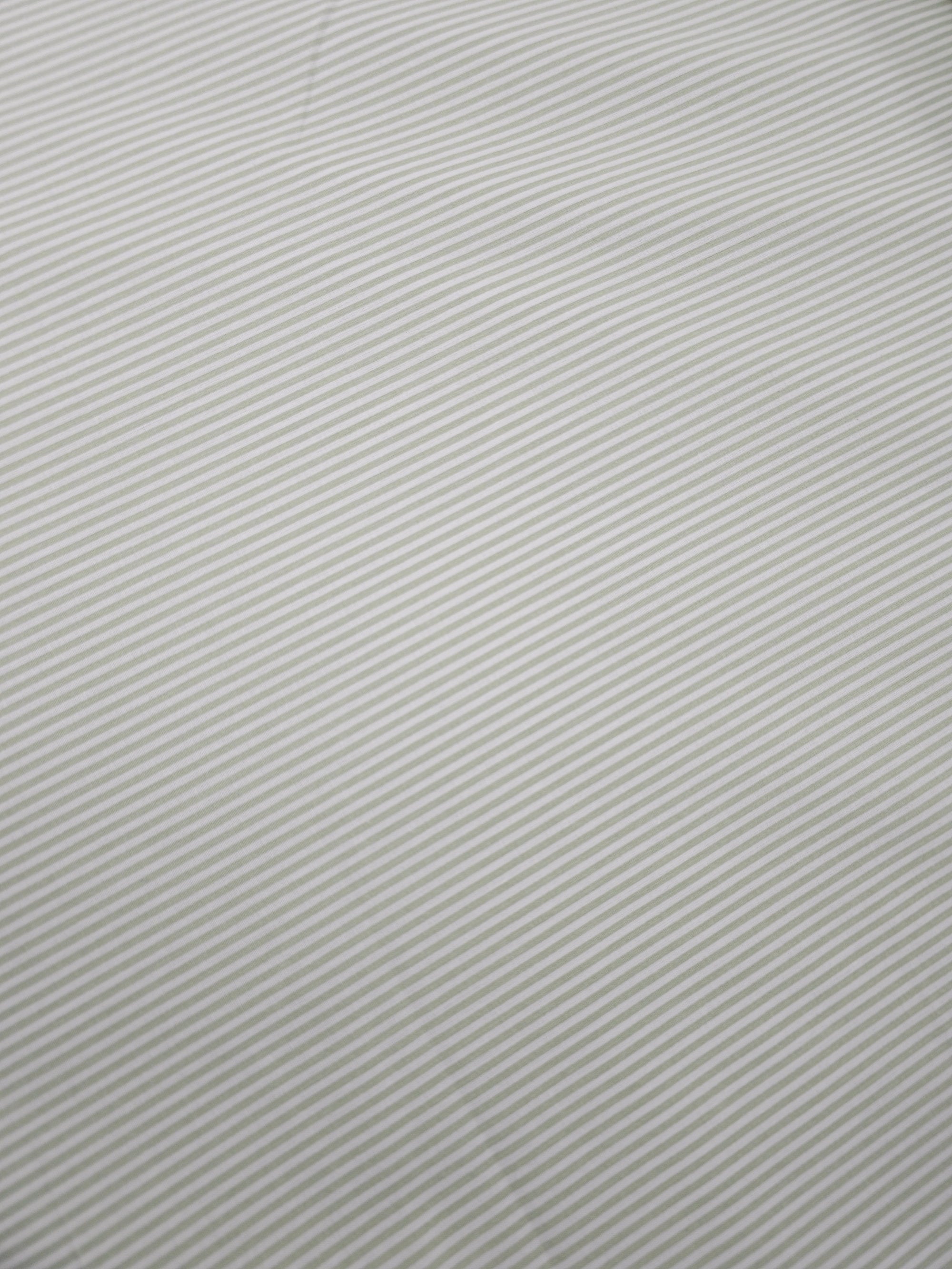 Light Sage Stripe 100% Cotton *EXTRA WIDE*