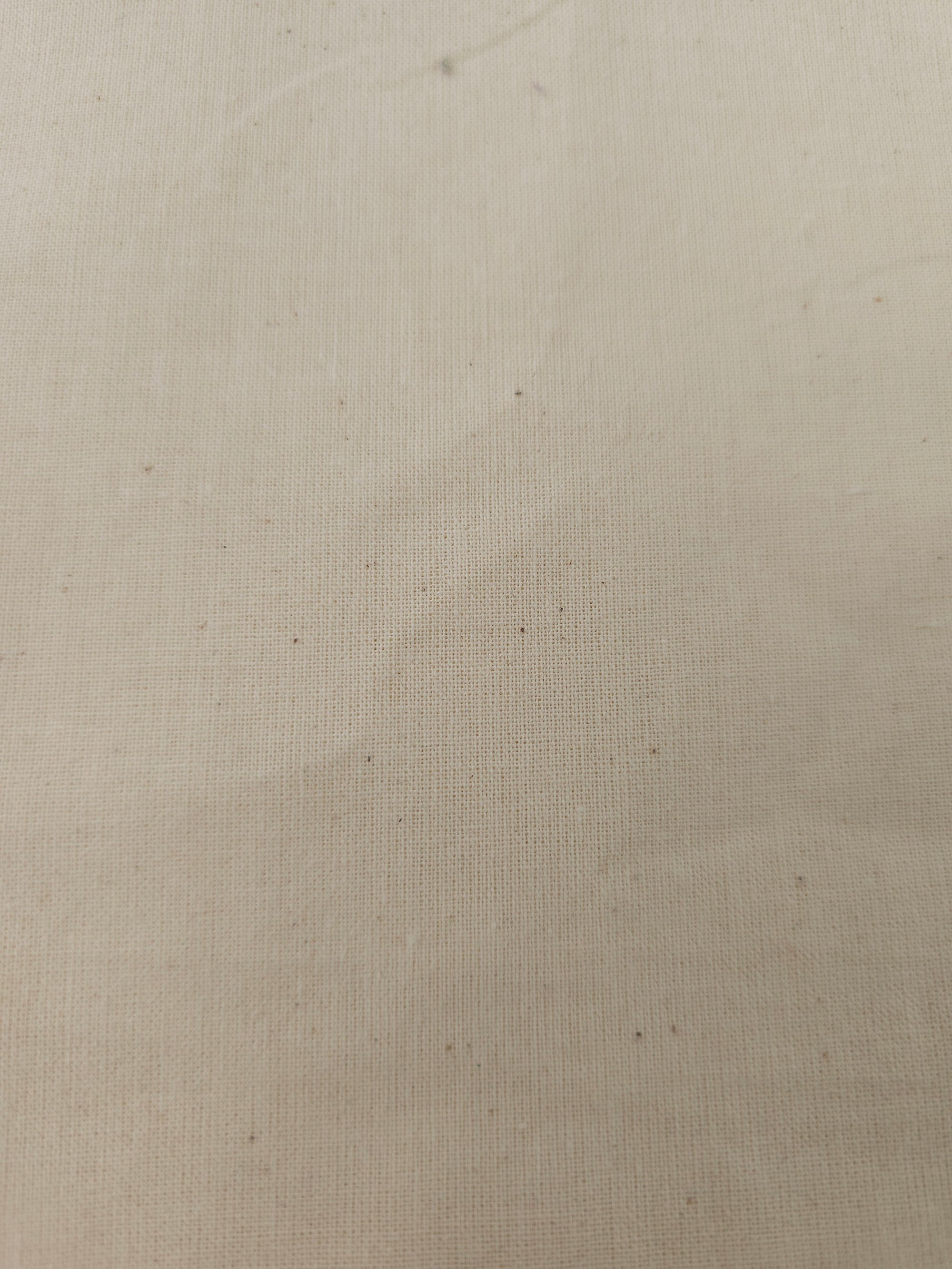 Calico- 2m piece