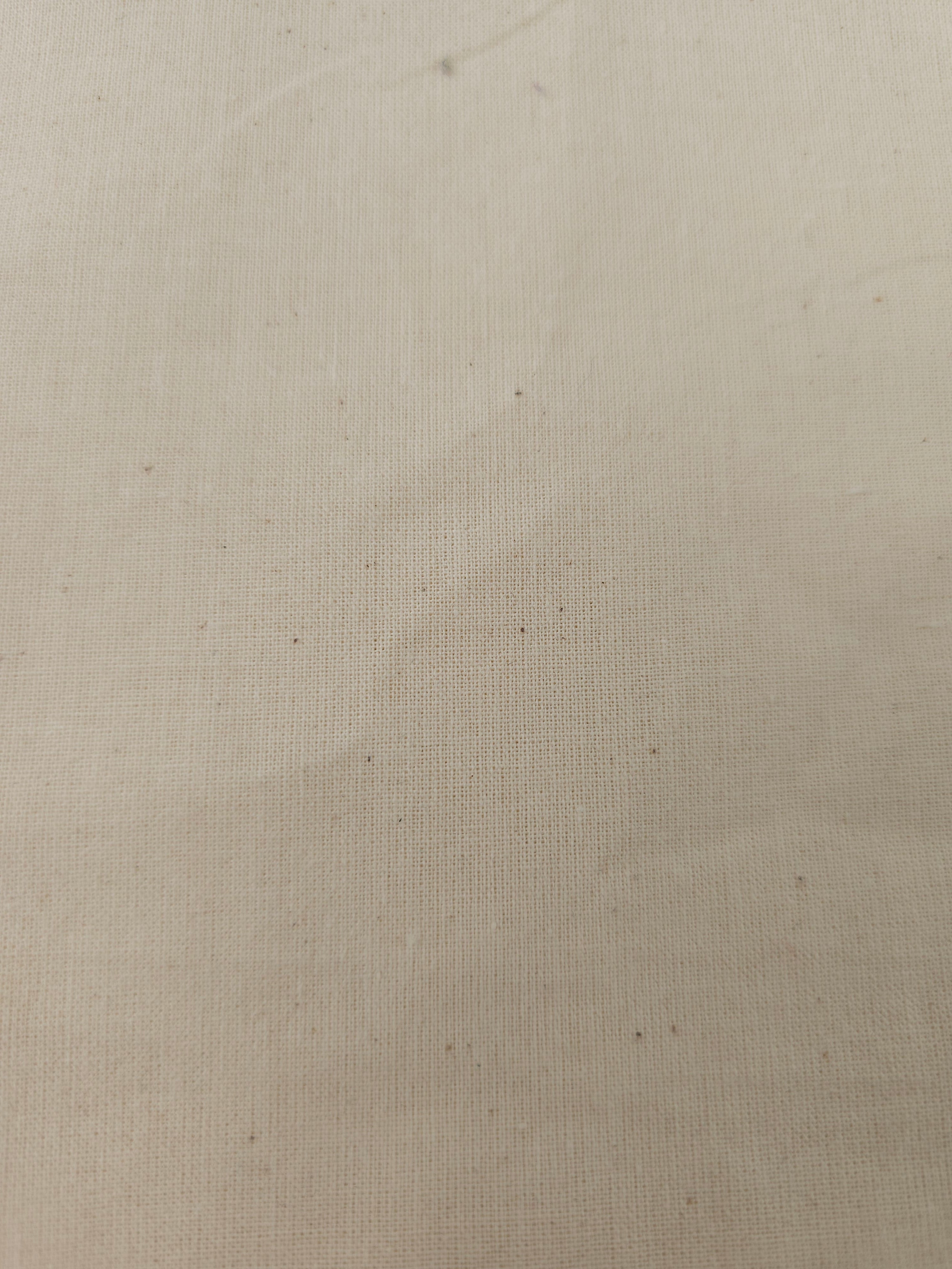 Calico- 2m piece