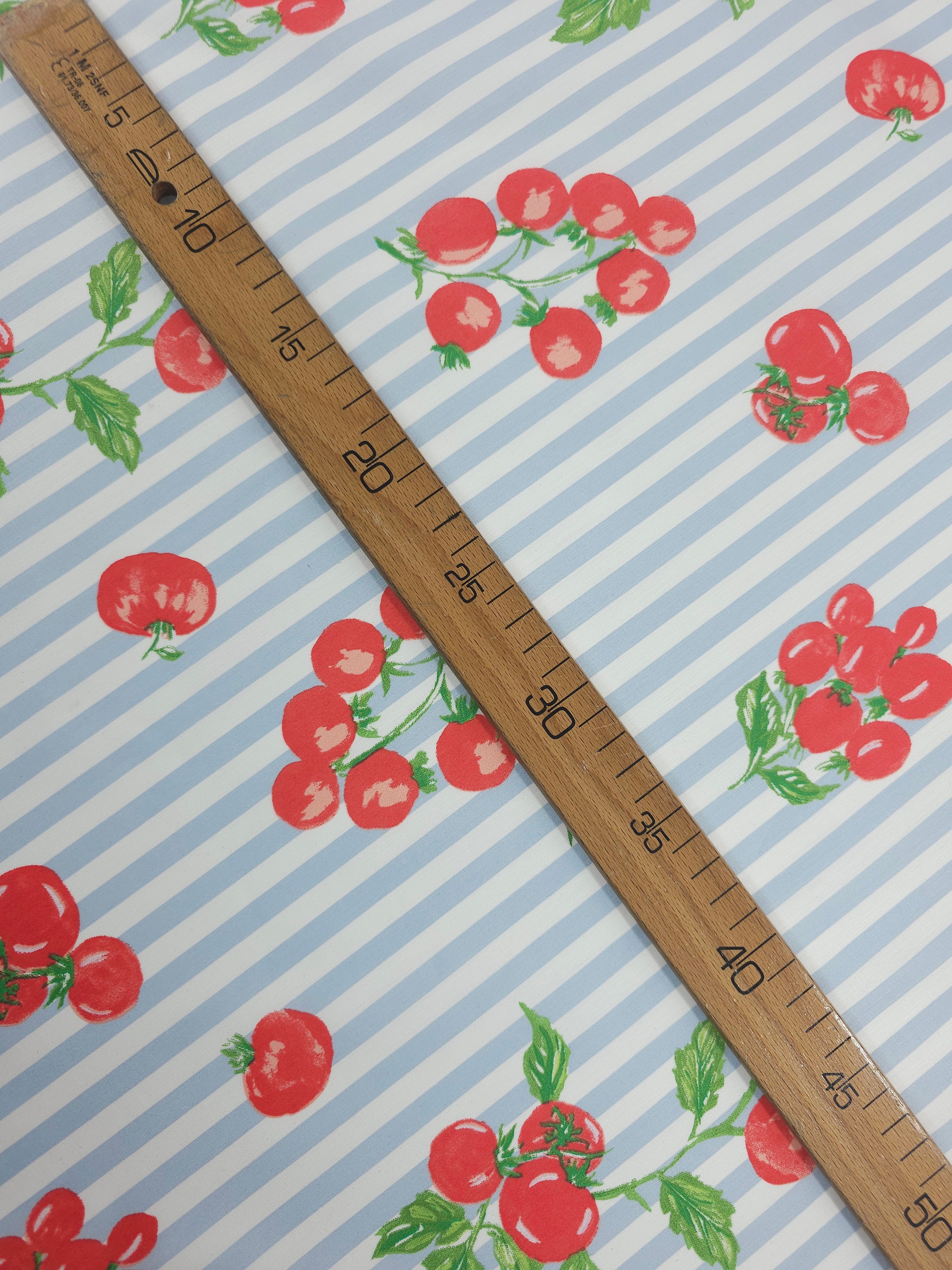 Baby Blue Stripe Tomato Vine Cotton Poplin