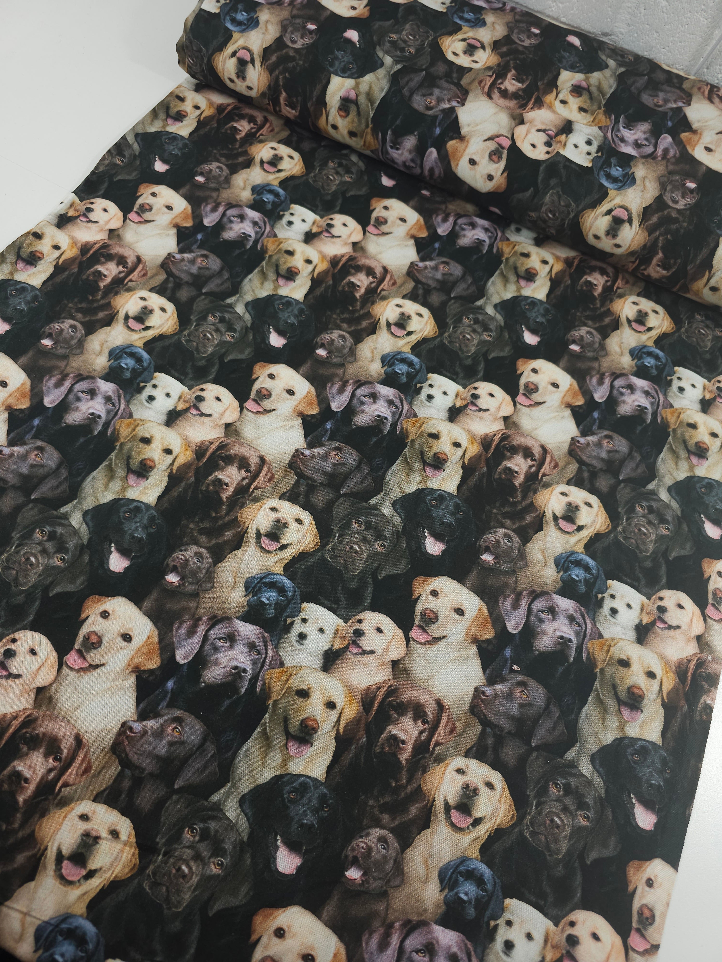 Labrador Dogs 100% Cotton