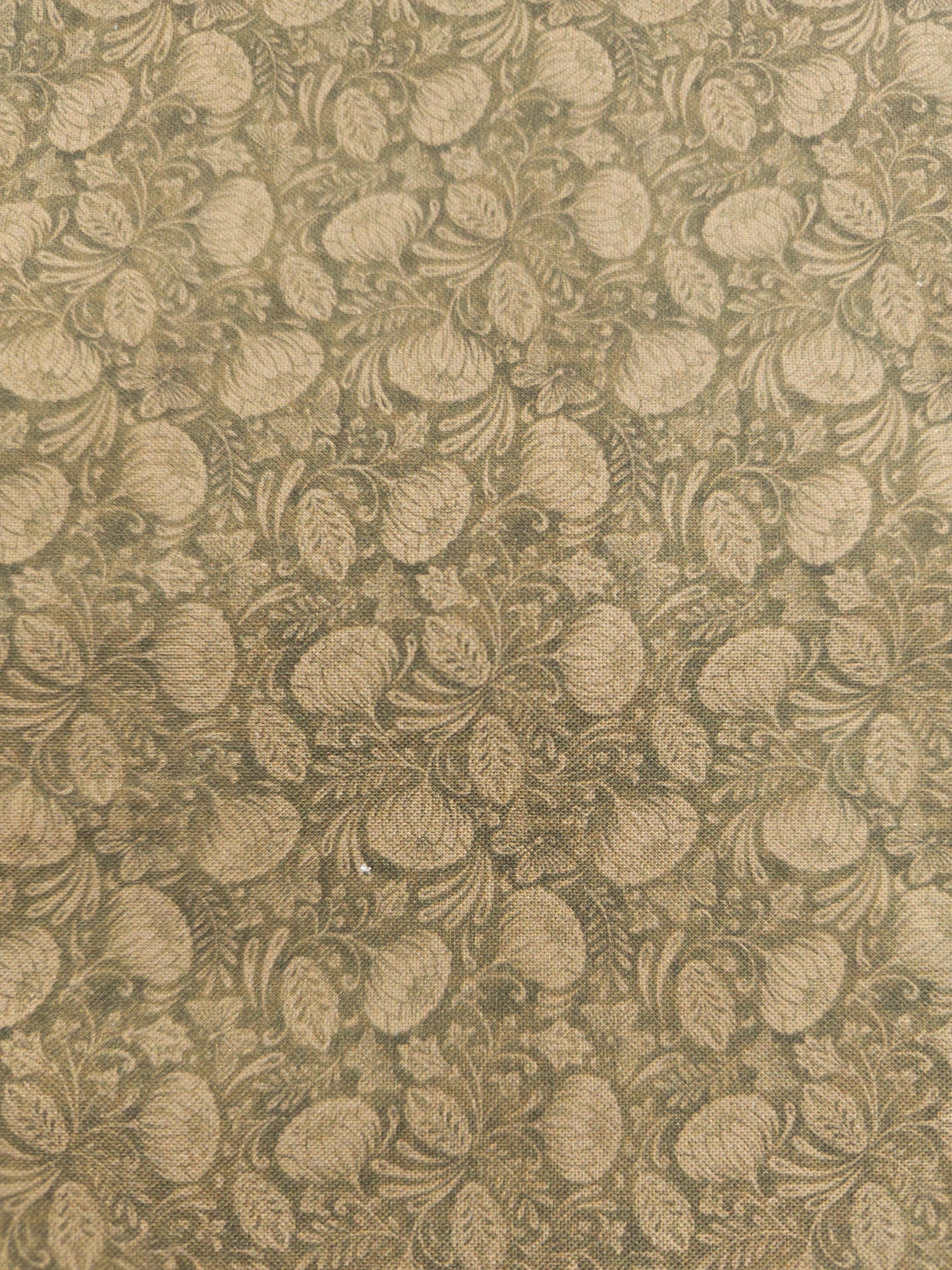 Brown thistle Cotton- 2.5m piece