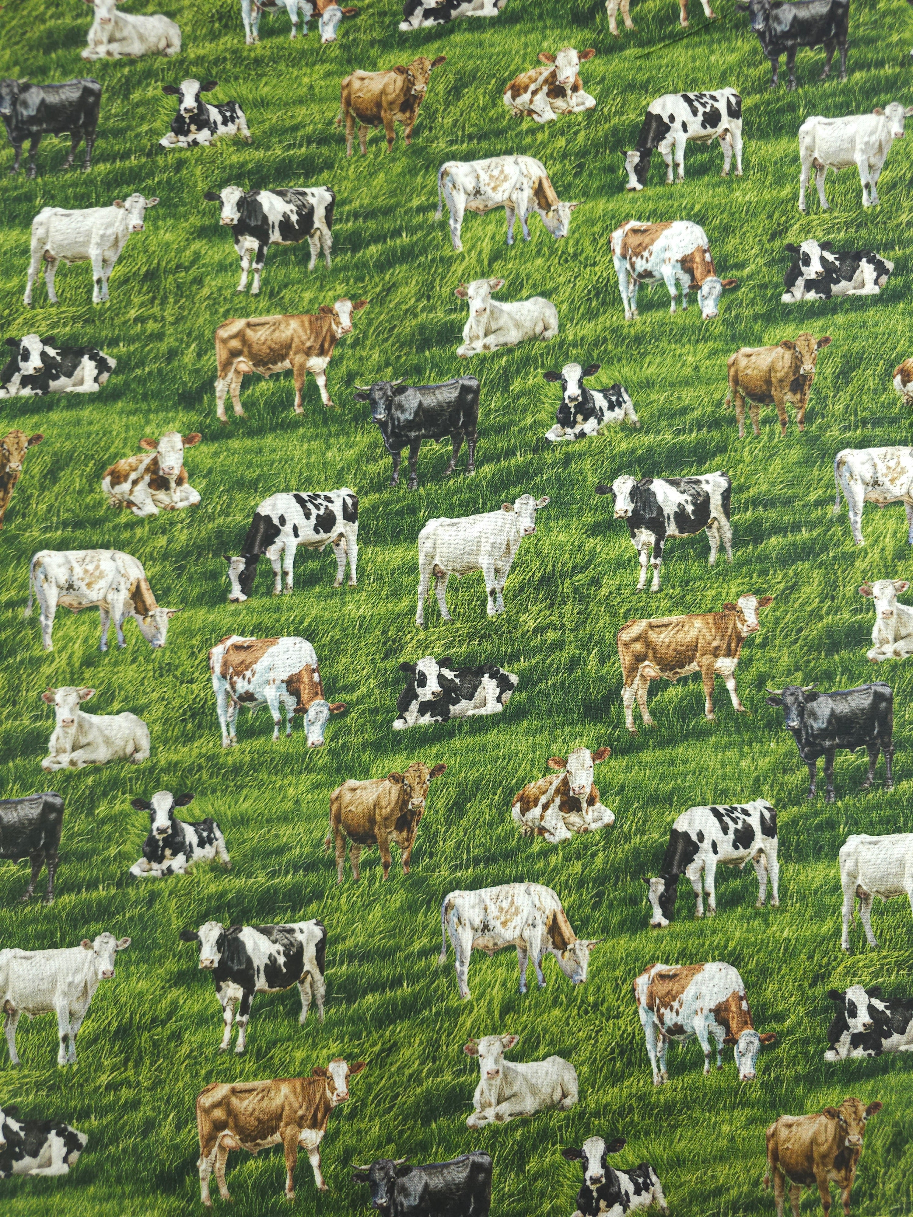 Cows On The Country Field 100% Cotton