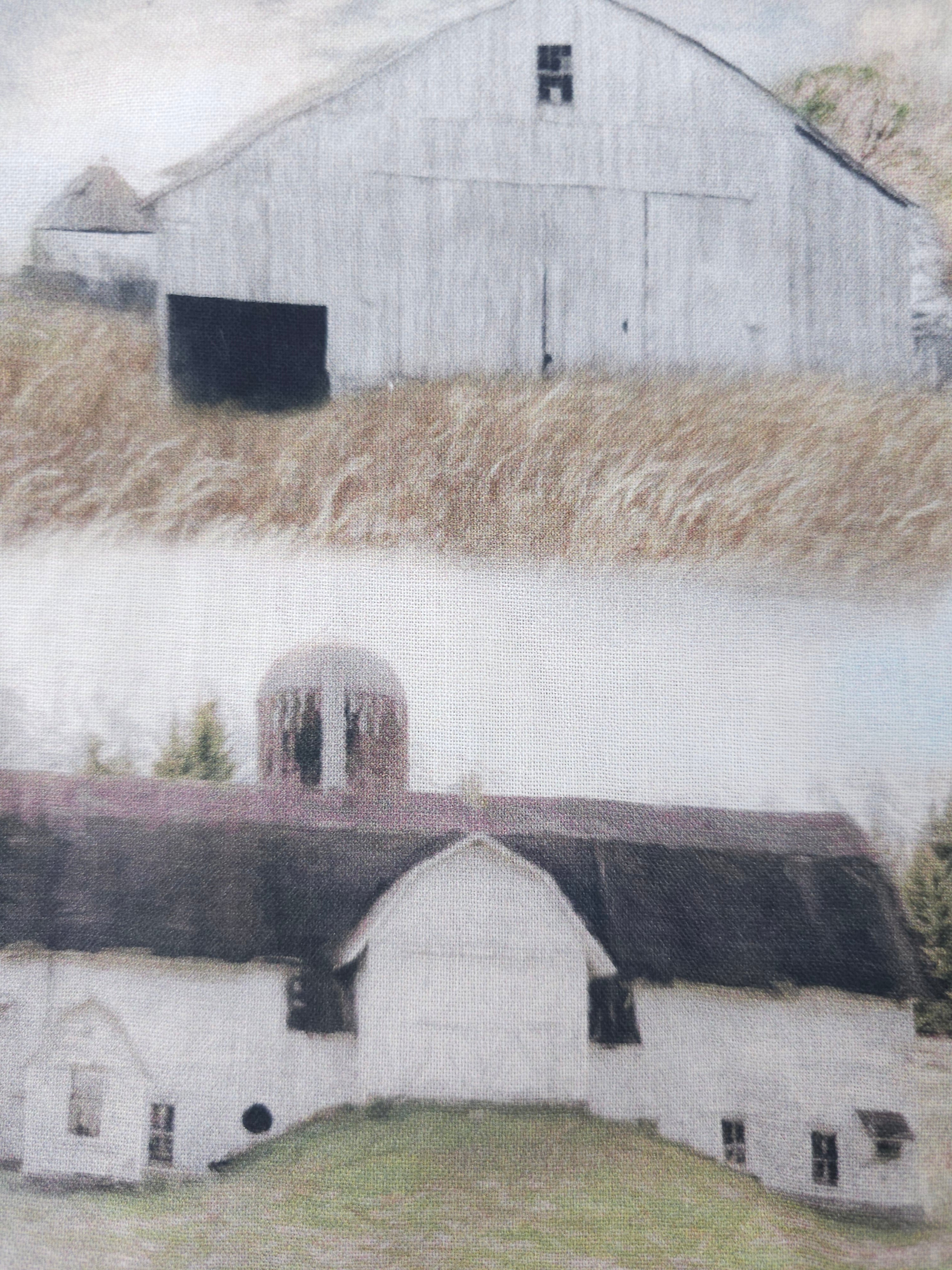Coastal village Cotton- 2.5m piece