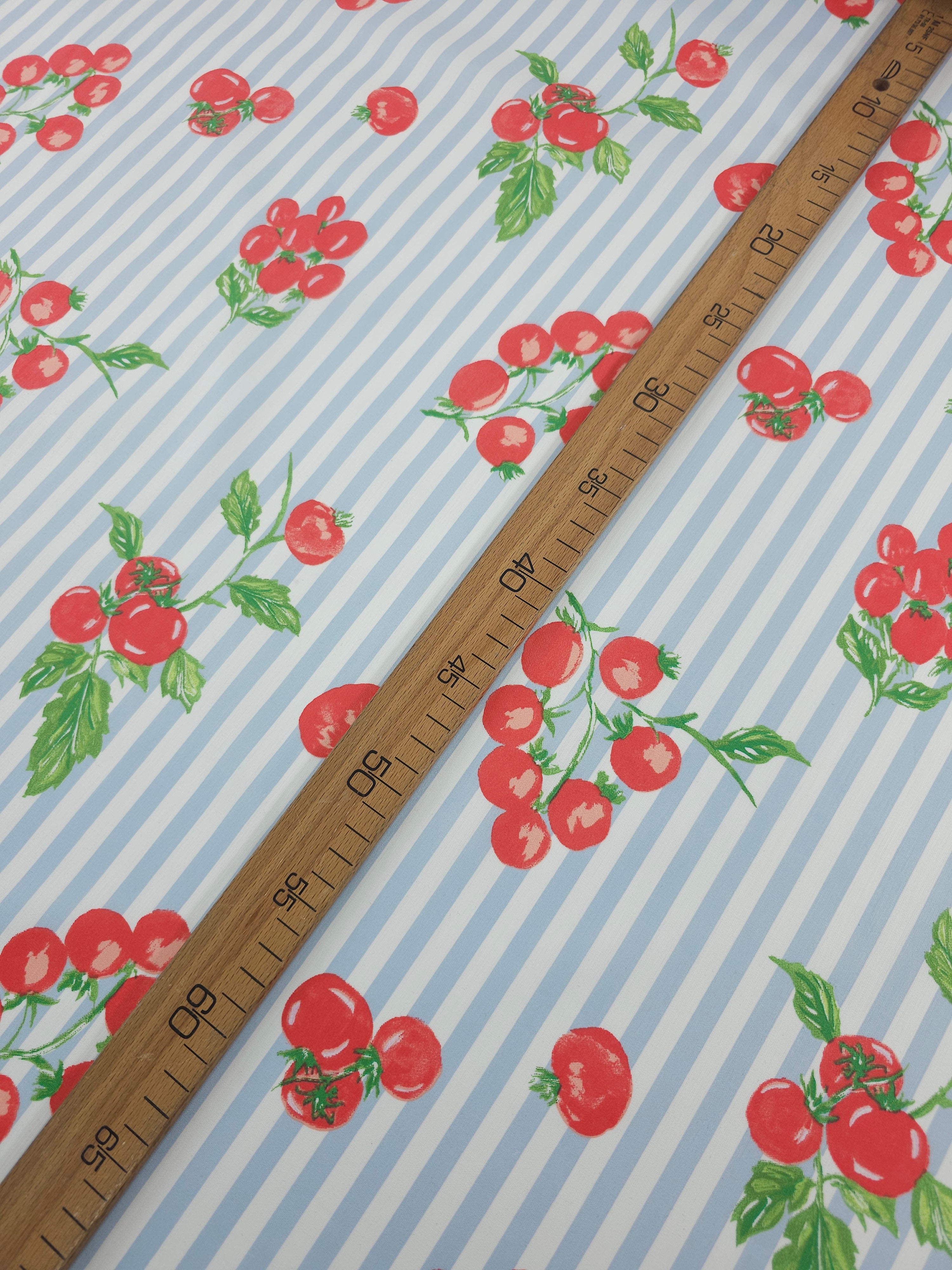 Baby Blue Stripe Tomato Vine Cotton Poplin