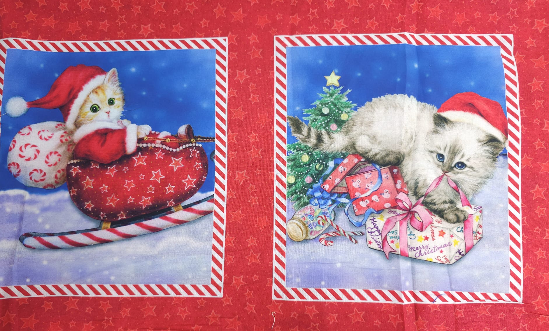 Kitten Christmas Block Panel Cotton - 2m Piece