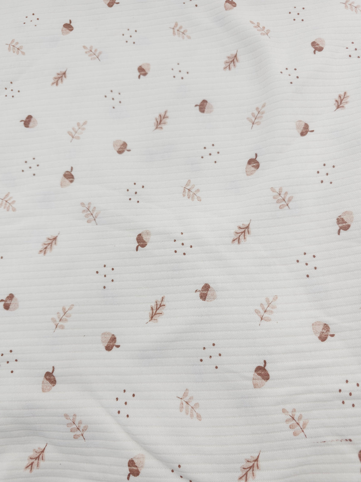 Adorable acorn Tubular Ribbing- 2.8m piece