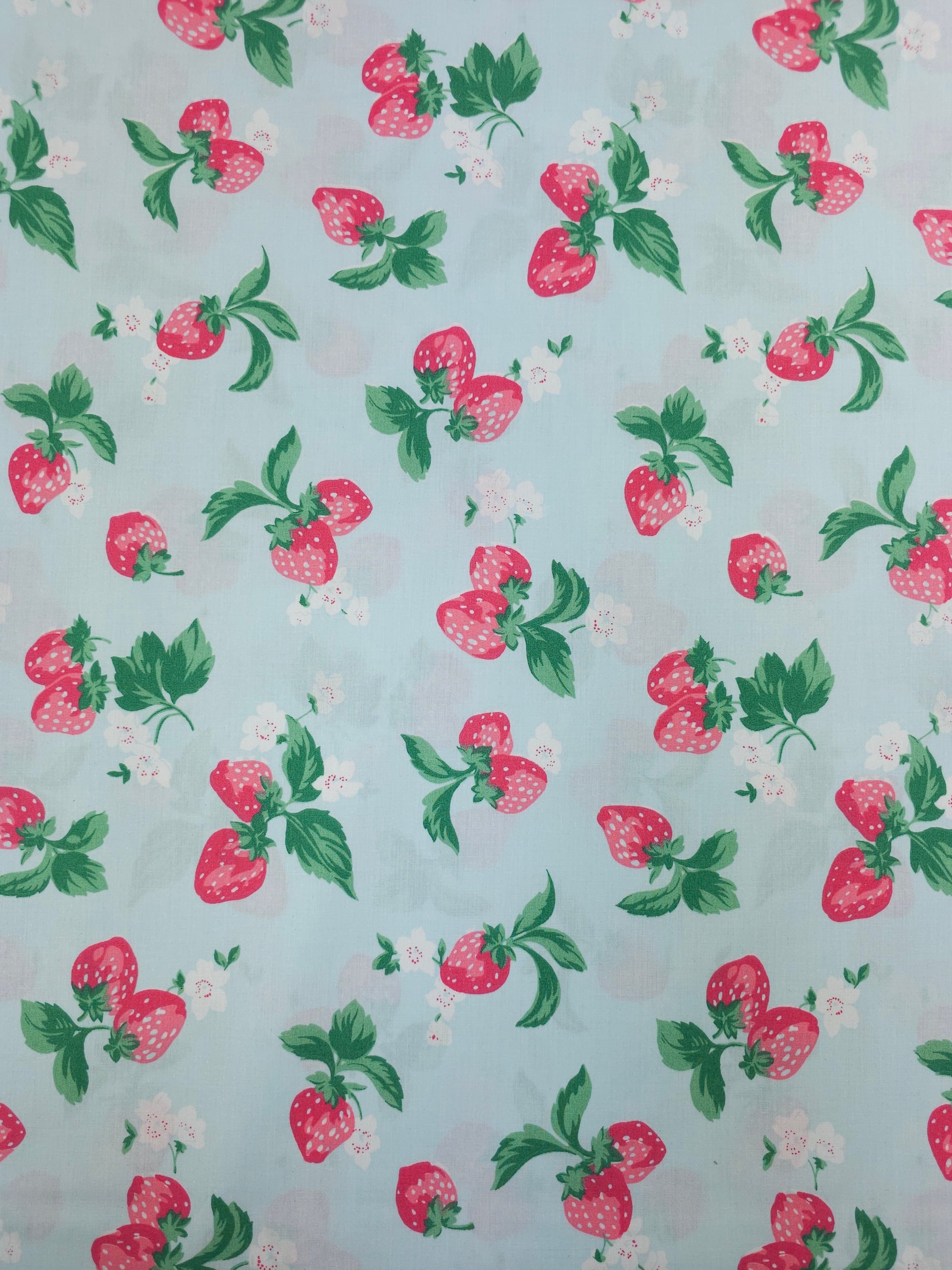 Light Blue Retro Strawberry 100% Percale Cotton 116" *EXTRA WIDE*
