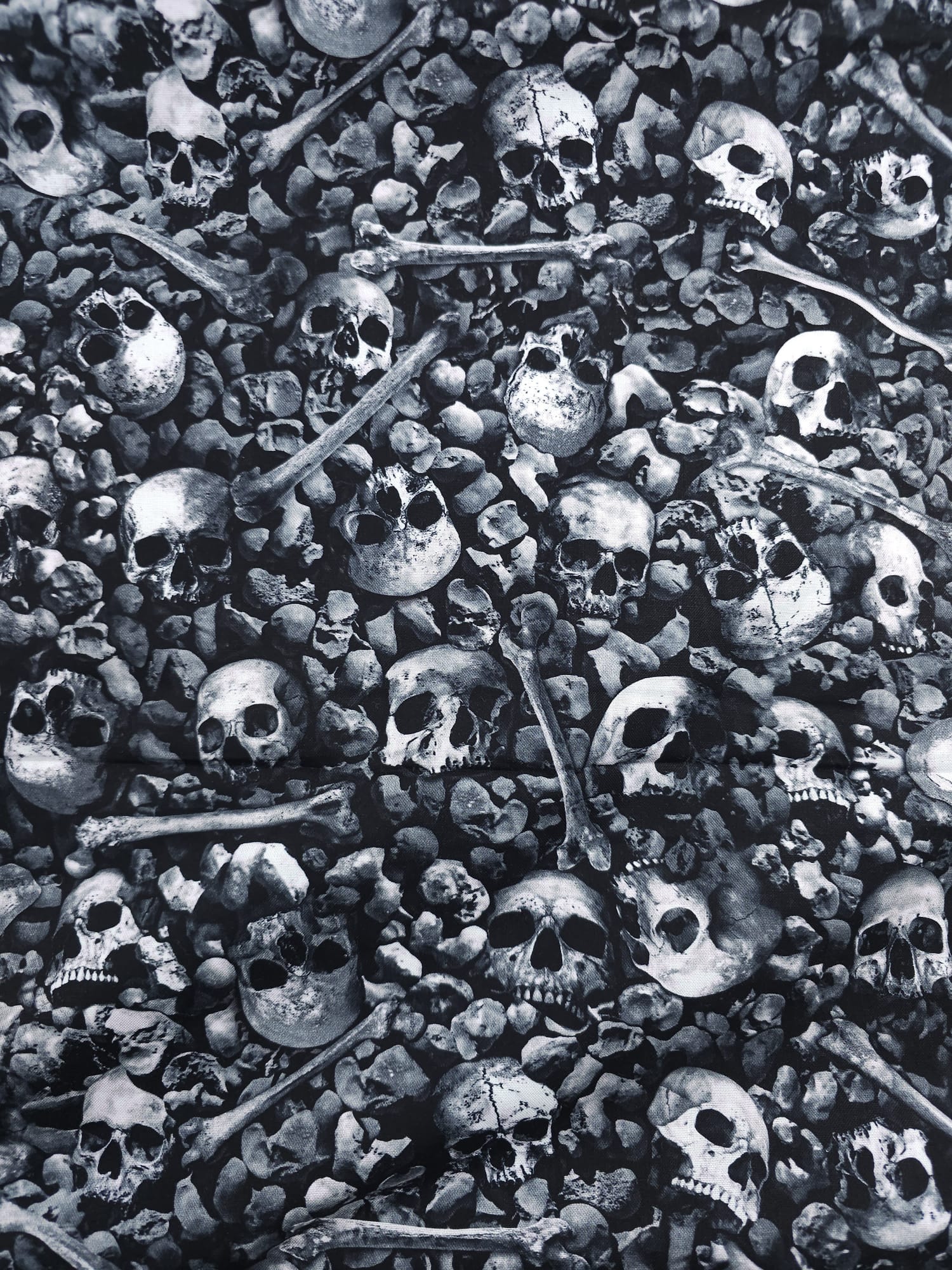 Skulls and Bones Cotton - 3.2m Piece