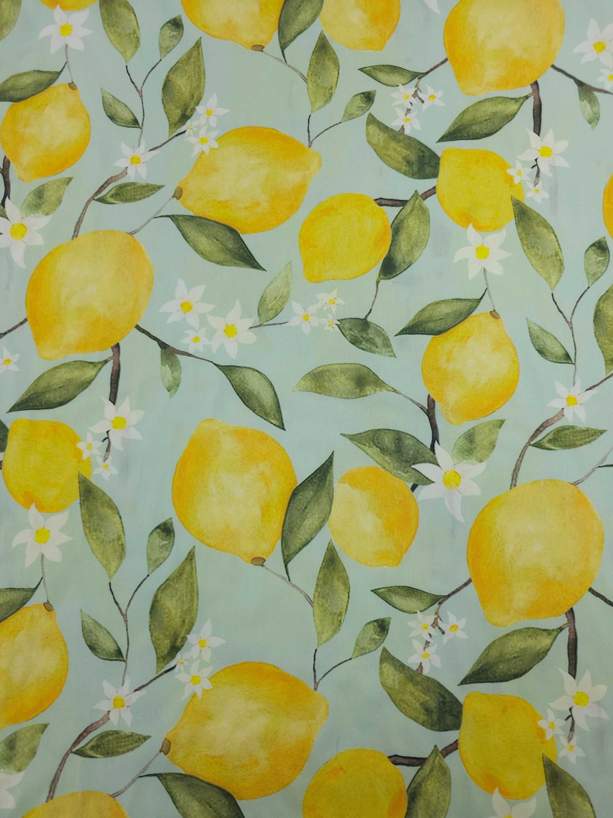 Lemon Daisy Branch Cotton Poplin