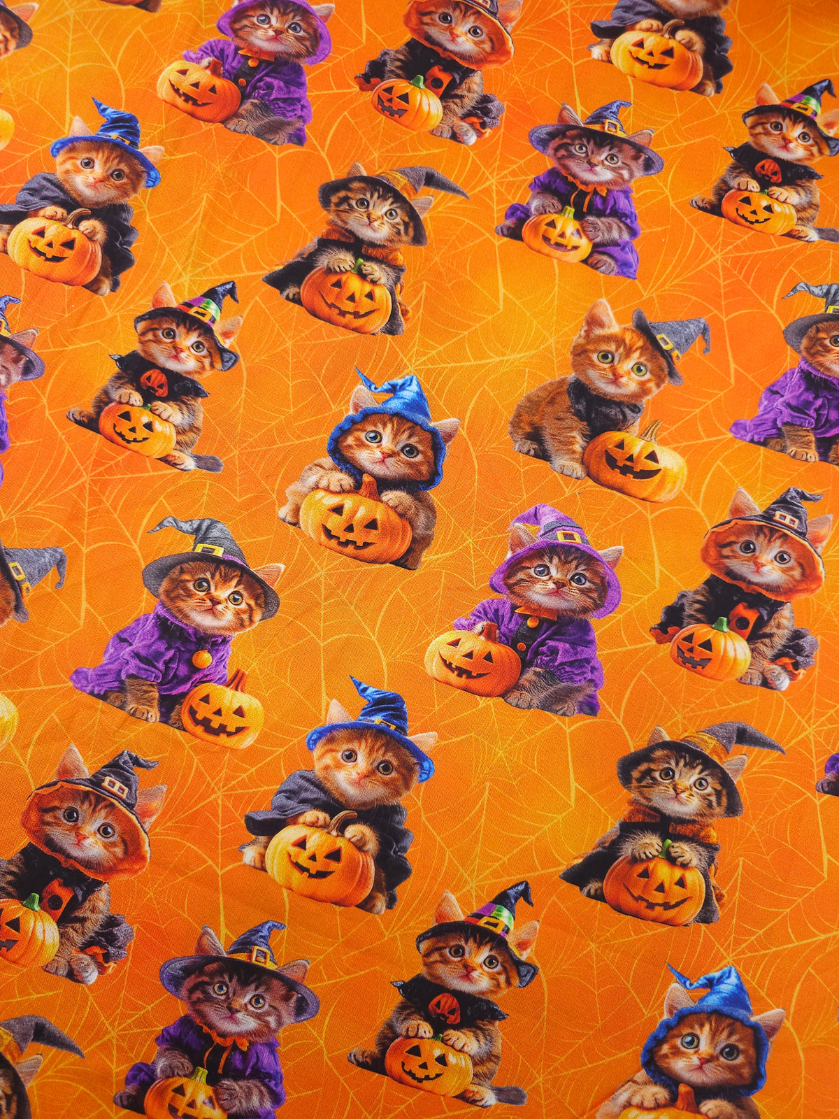 Halloween Kittens In Costume 100% Cotton