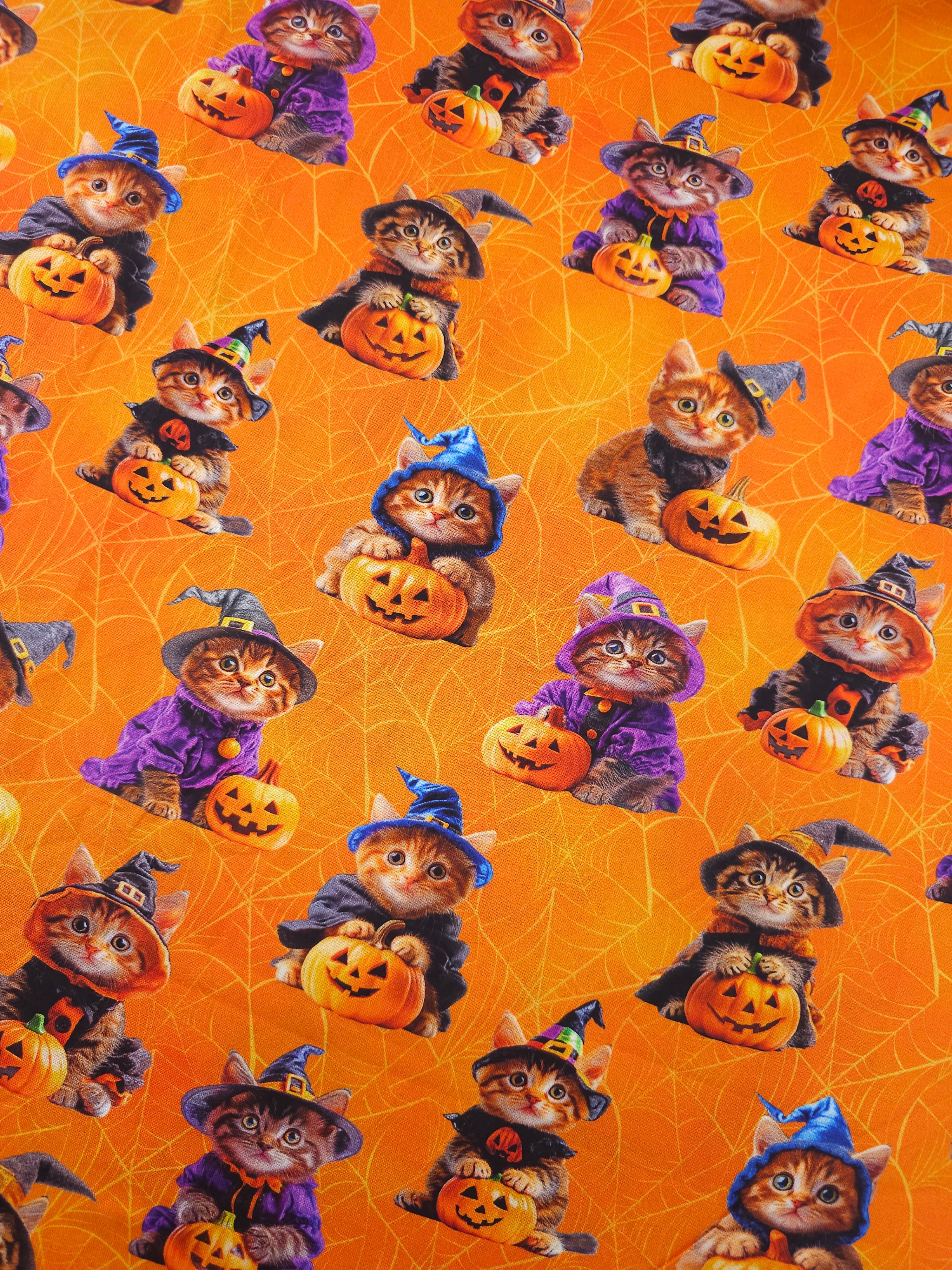 Halloween Kittens In Costume 100% Cotton