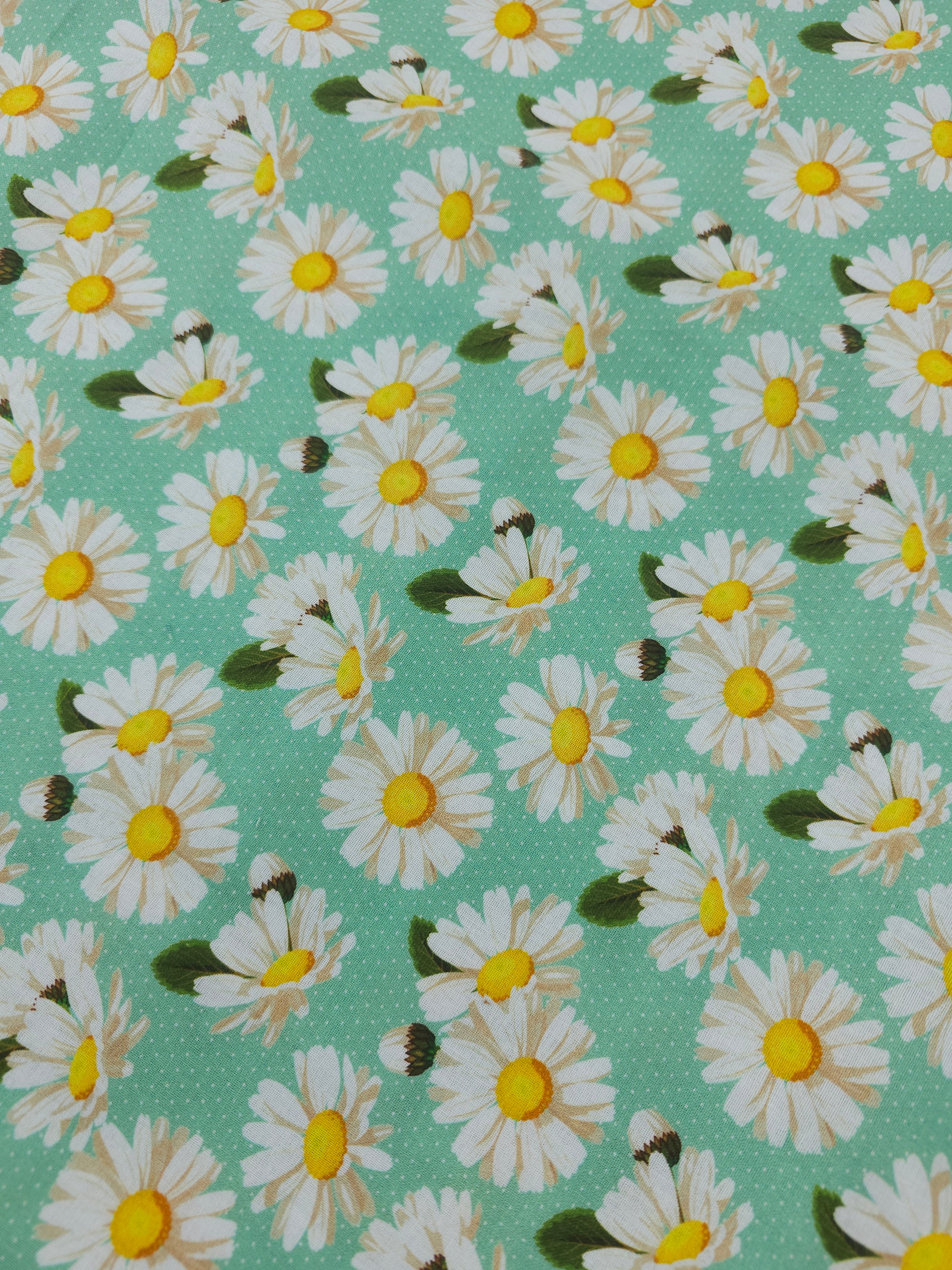 Mint daisy Cotton- 1.1m piece