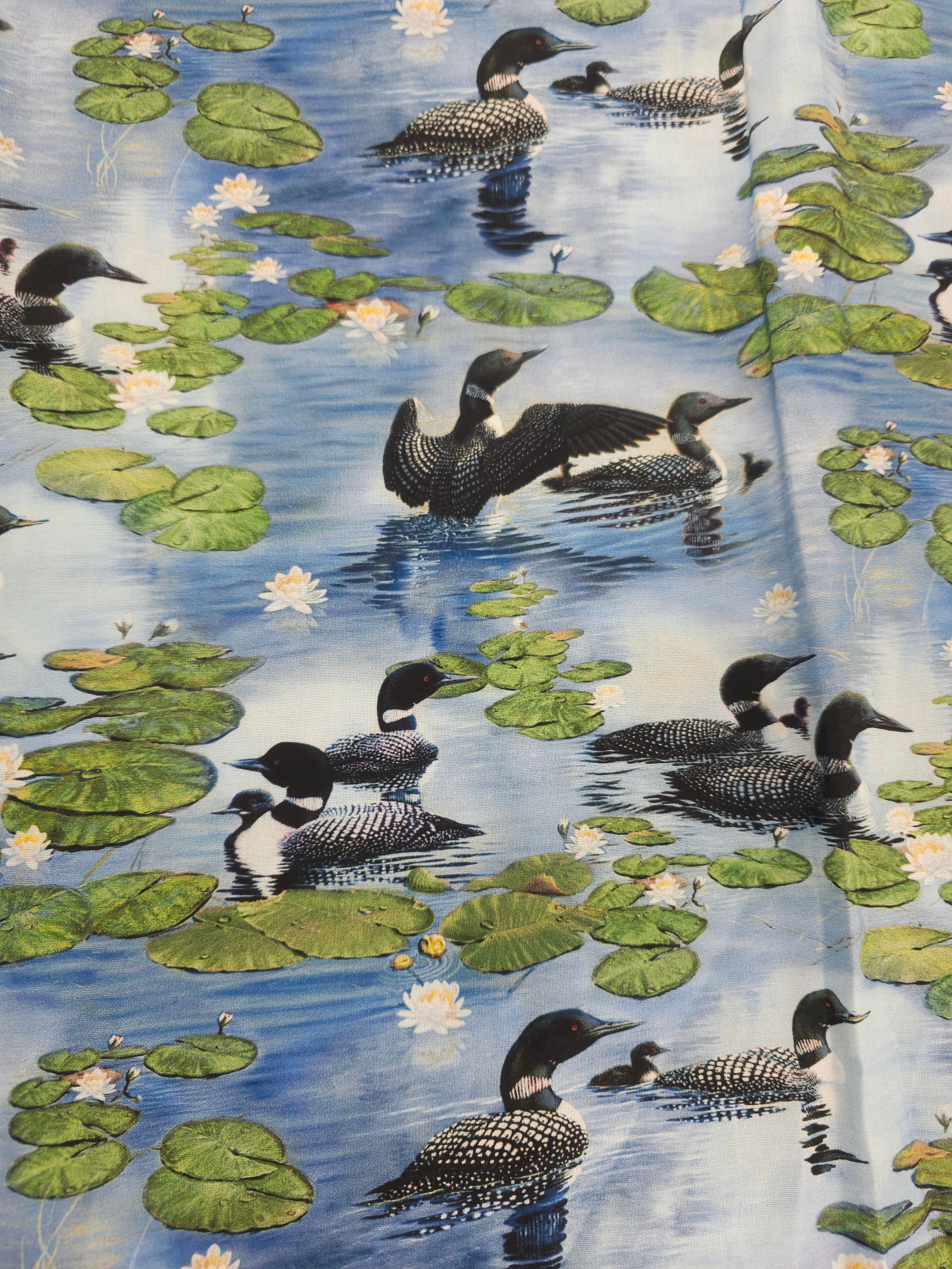 Swimming ducks Cotton- 2.5m piece