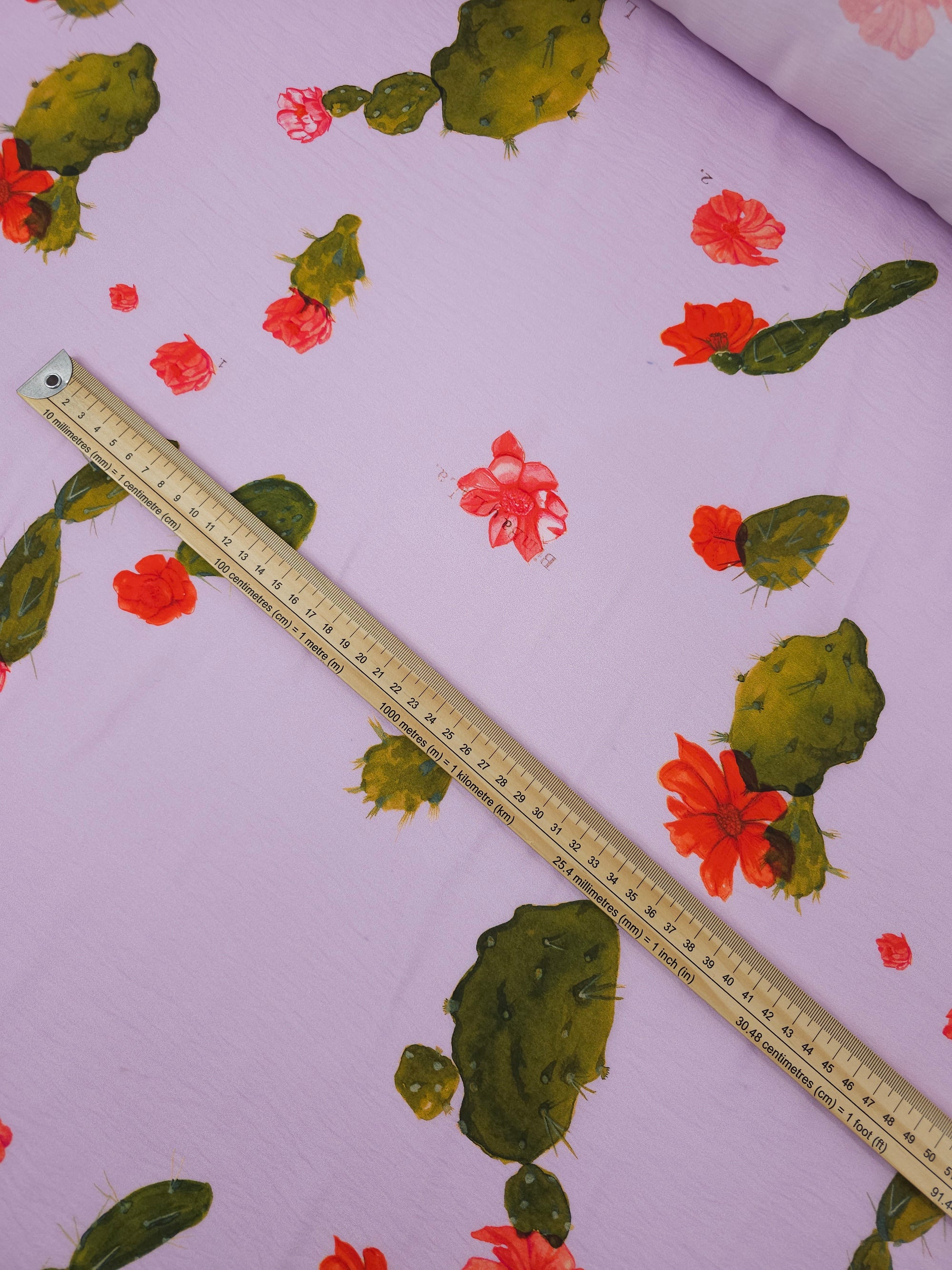 Lilac Floral Cactus Modal