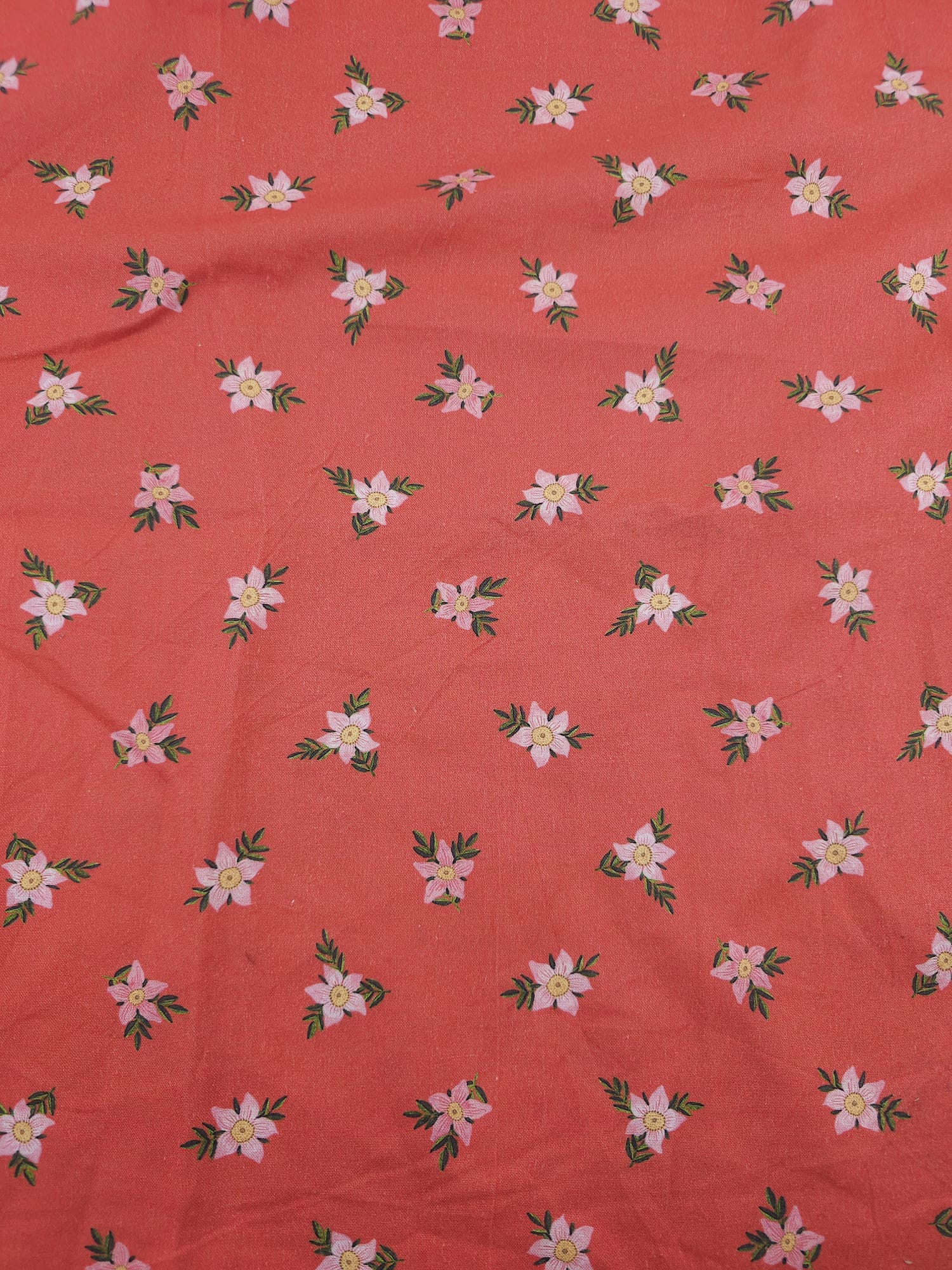 Red Blossoms Field Trip Cotton - 2m piece
