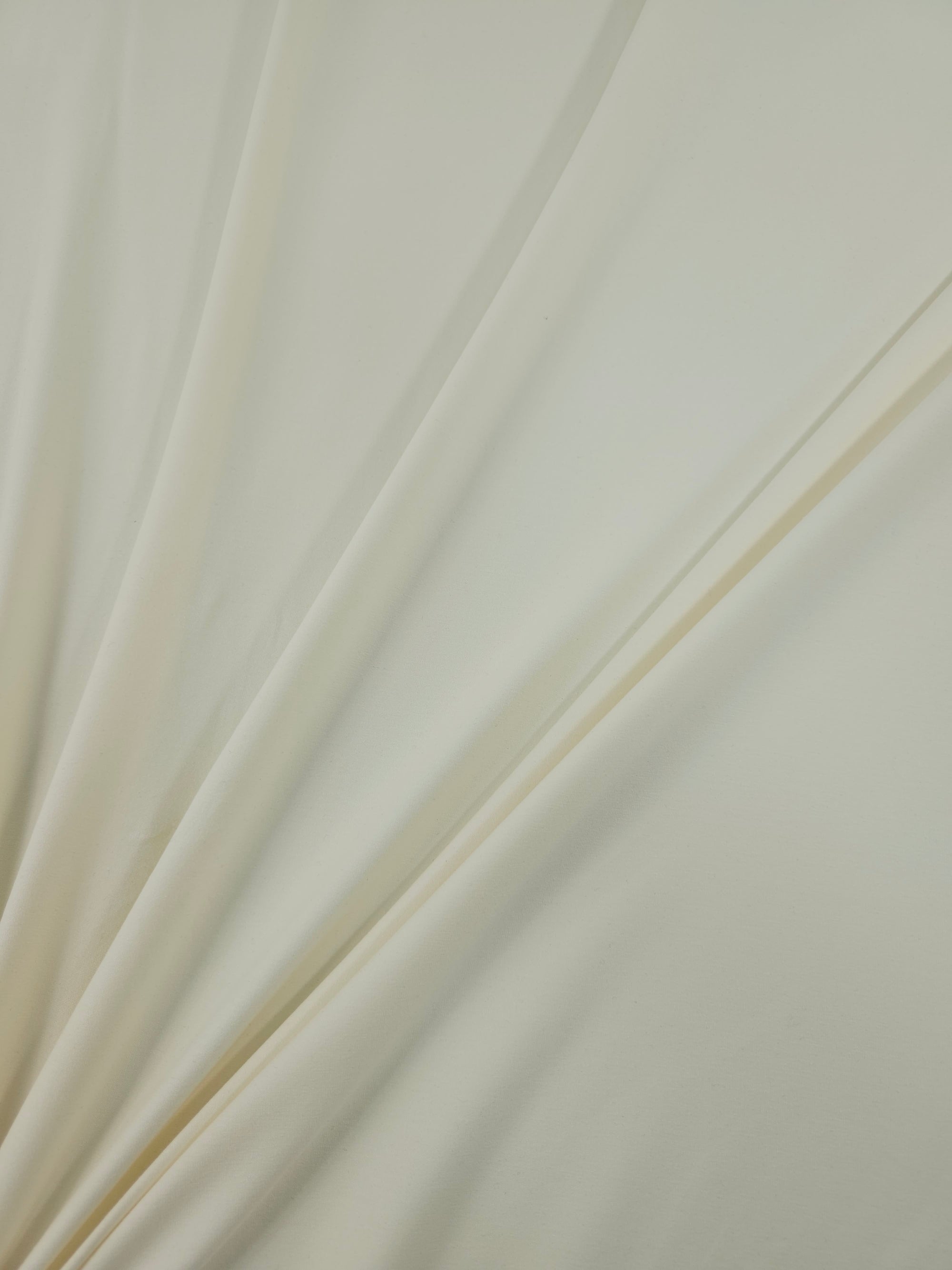 Light Cream Cotton Jersey