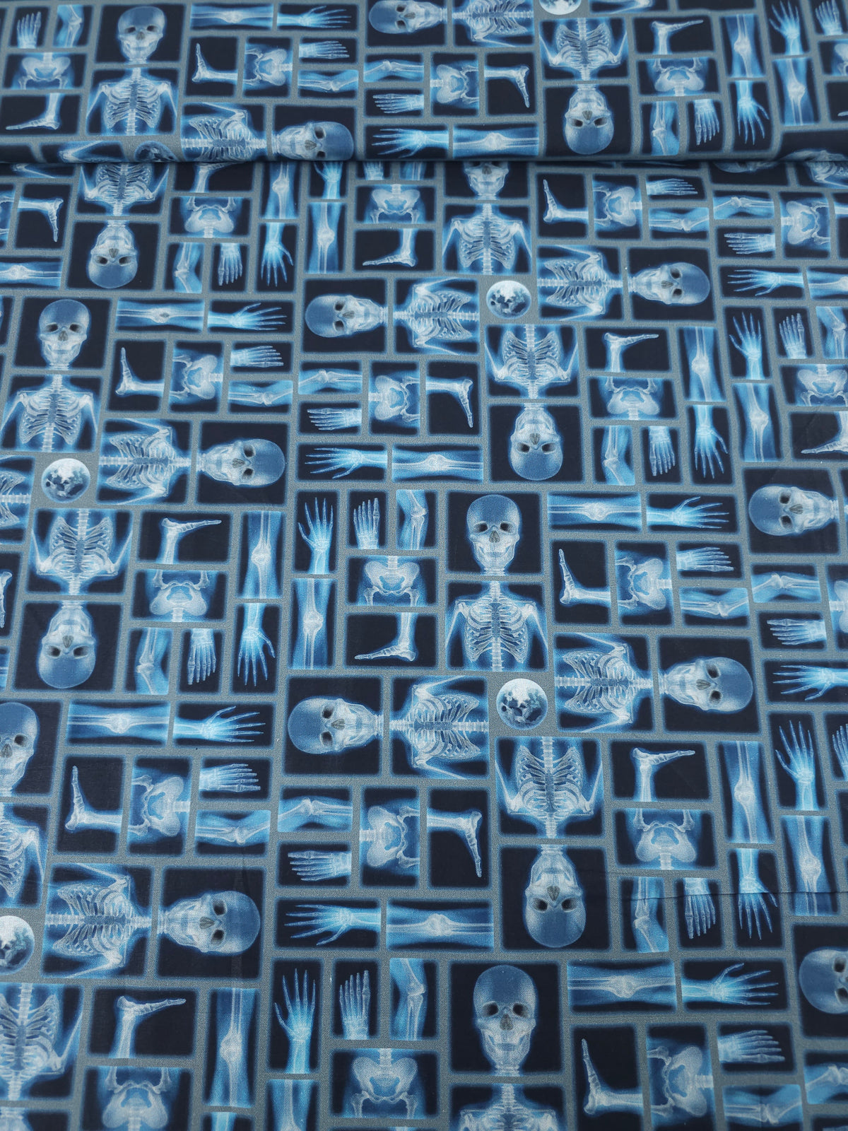 Blue/Black Skeleton Anatomy 100% Cotton