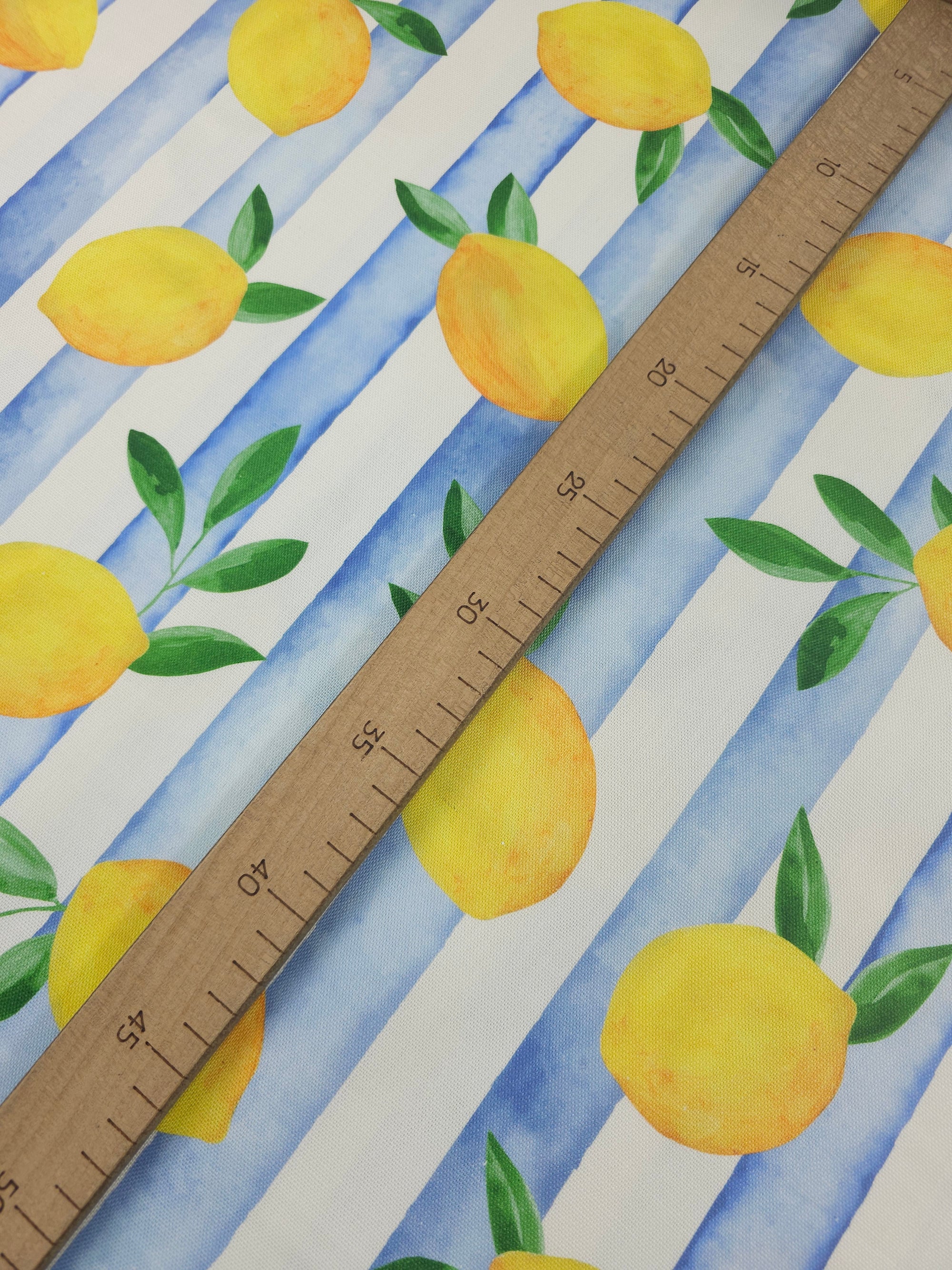 Falling Lemons Block Stripe Lightweight Canvas Cotton