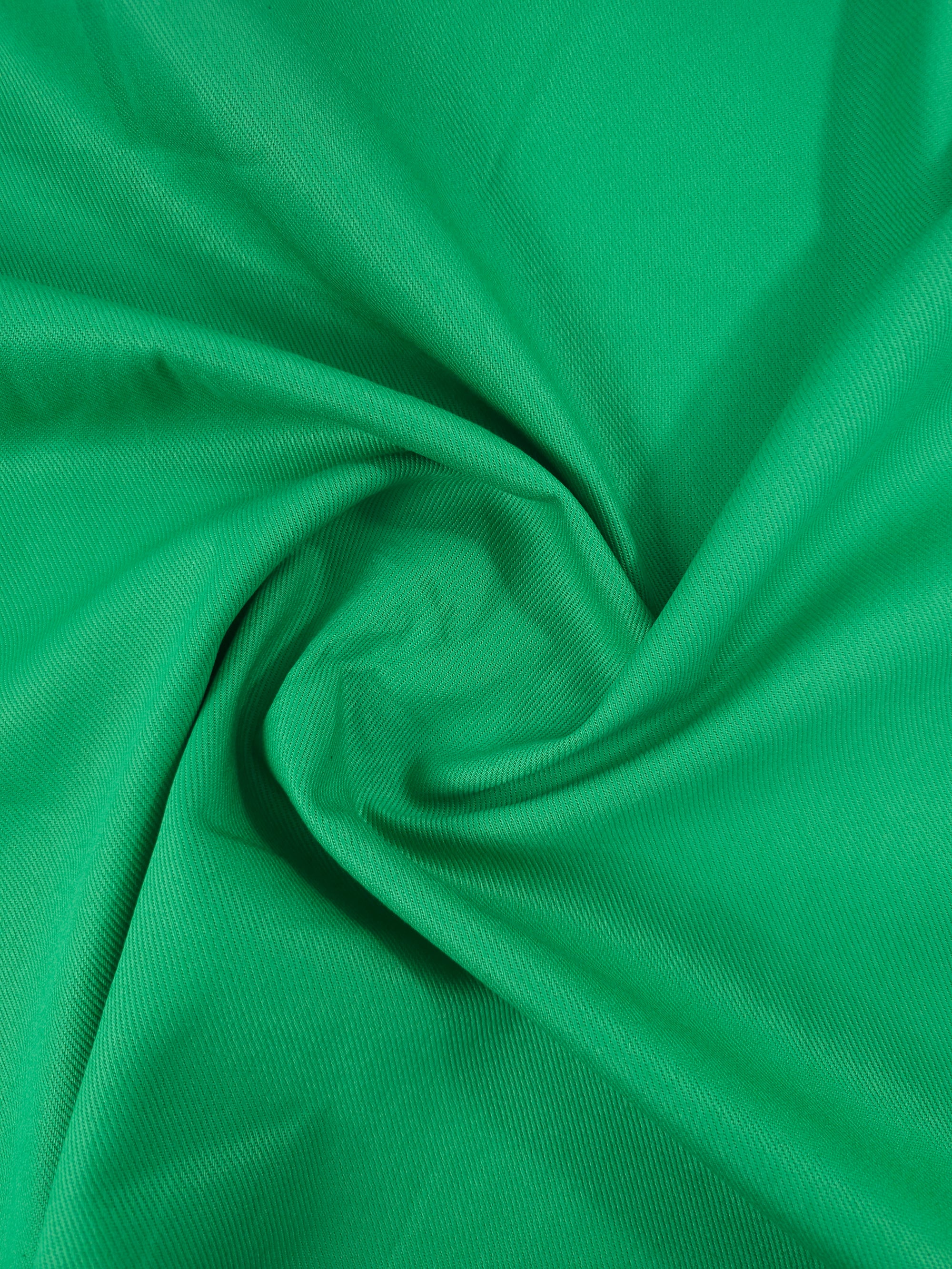 Parakeet Green Twill Denim
