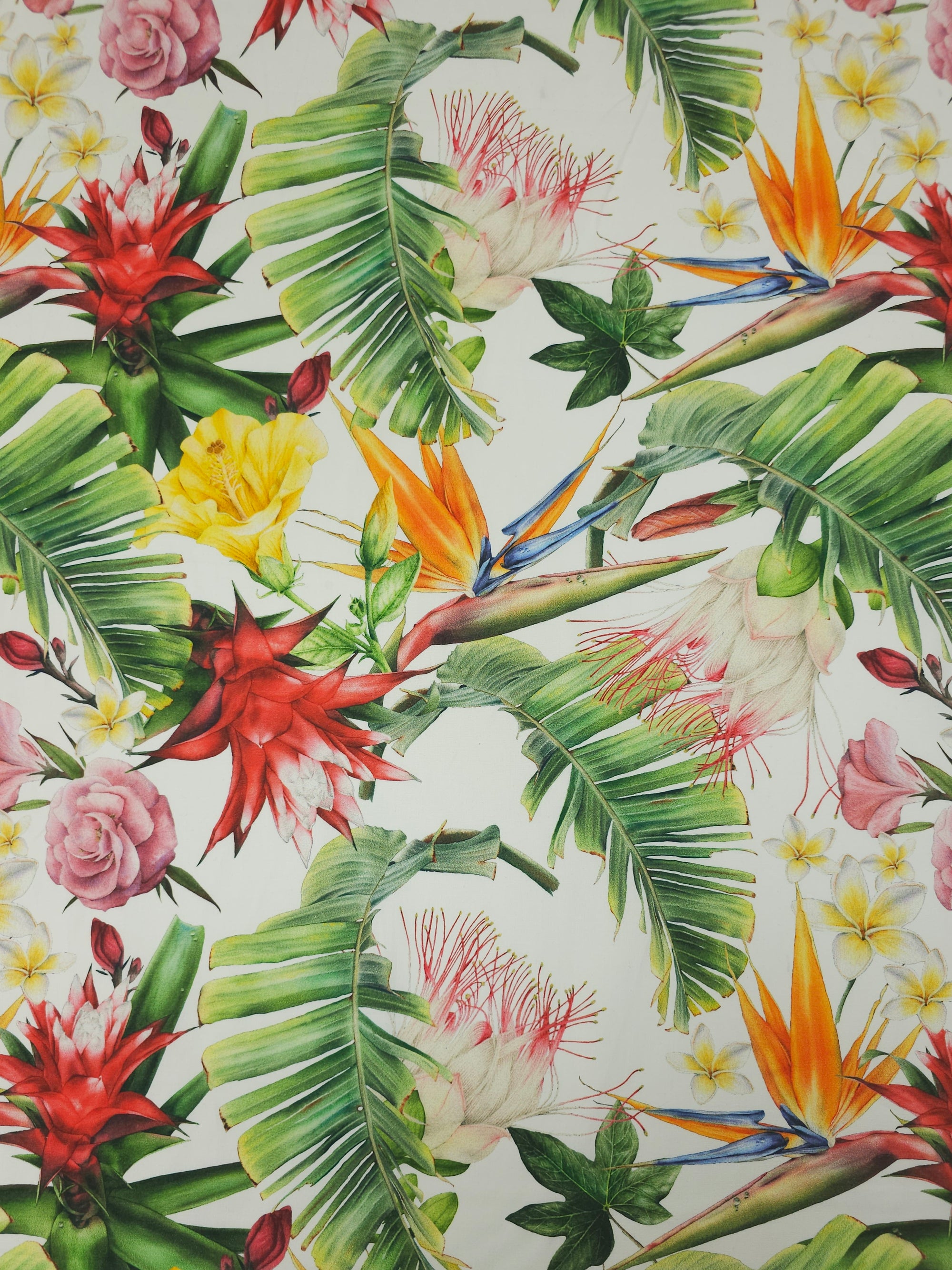 Tropicana Luau Blooms Stretch Cotton Poplin