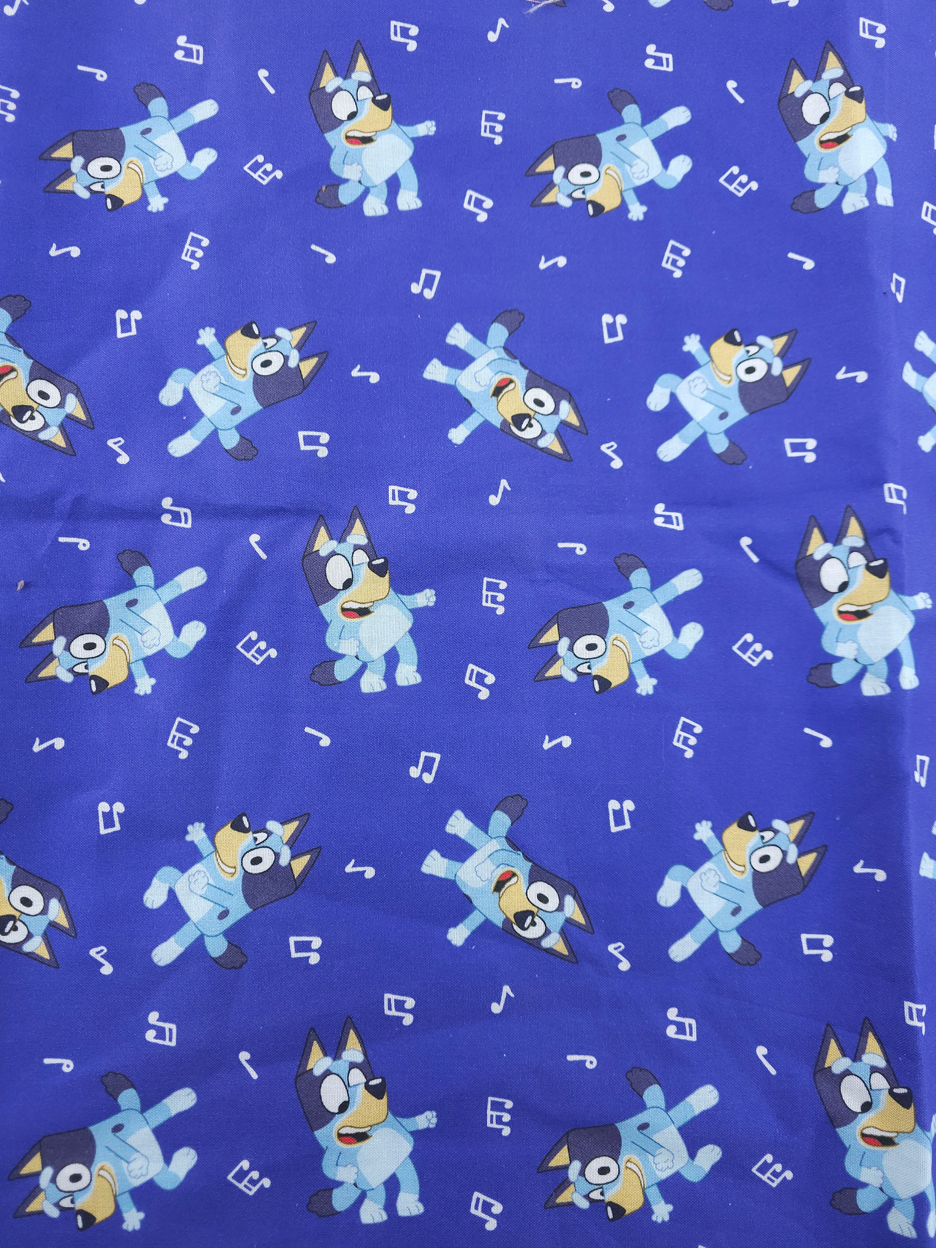 Lets Dance Bluey! Cotton - (Various Sizes)