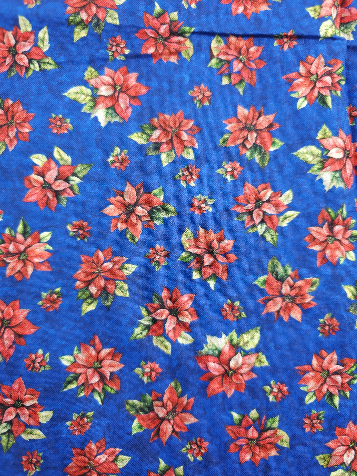 Blue Poinsettia Cotton - 1.6m piece