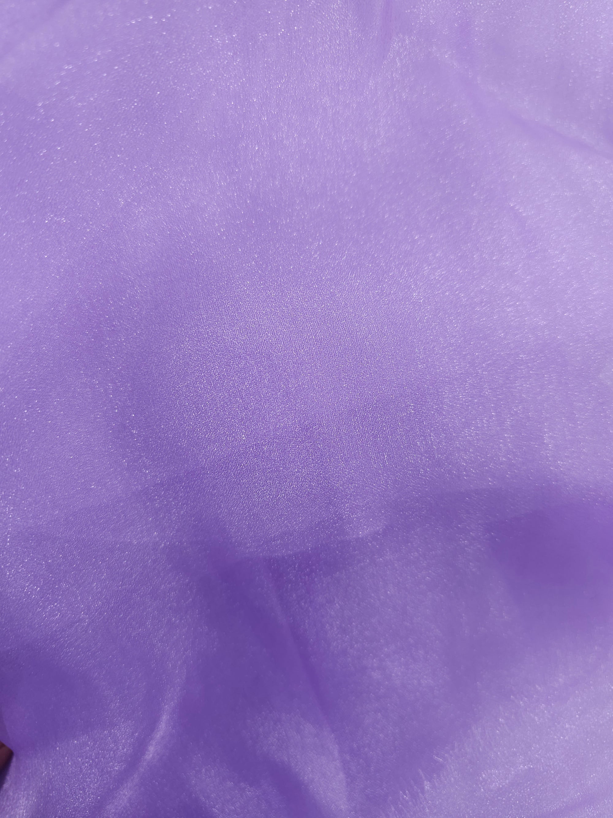 Purple Organza - 1m Piece