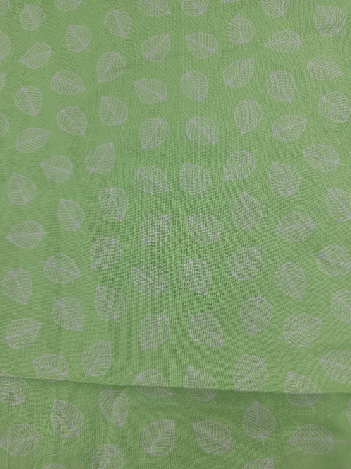 Apple green leaf Cotton (Various Sizes)