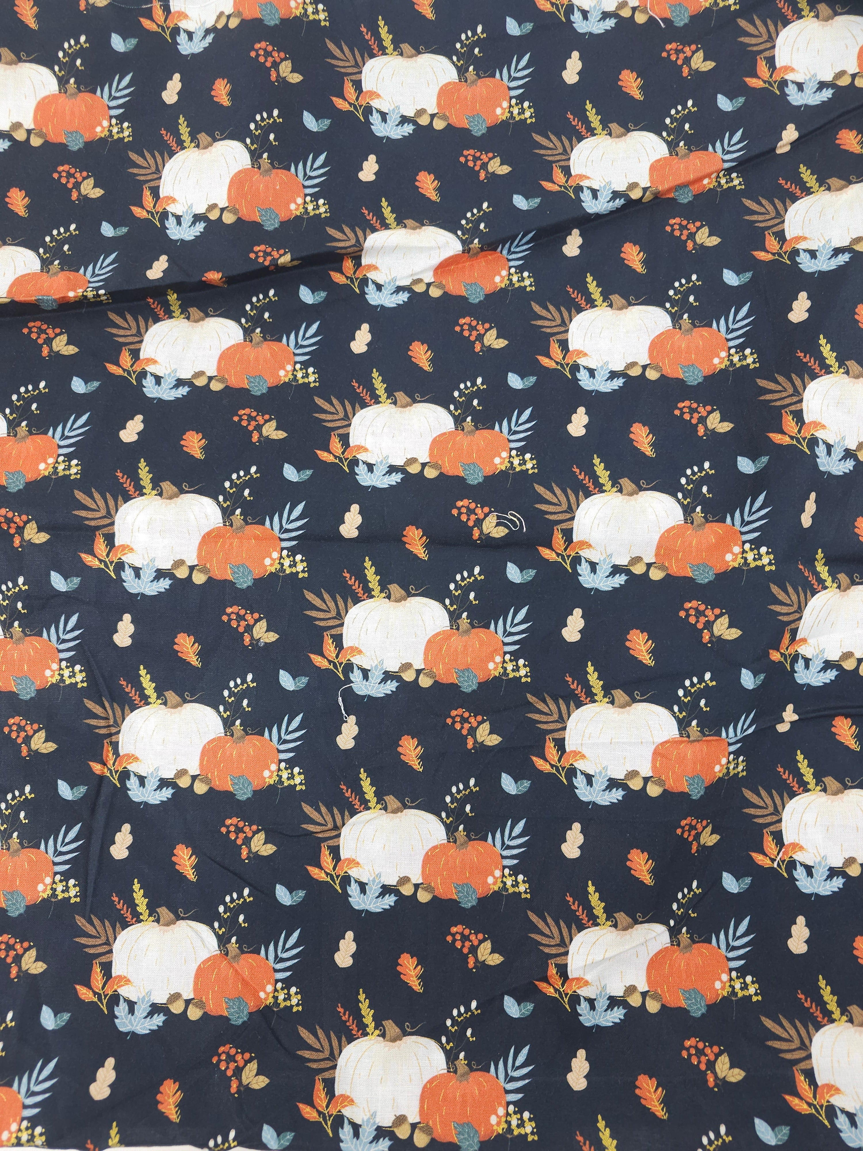 Whimsy pumpkin Cotton- 2m piece