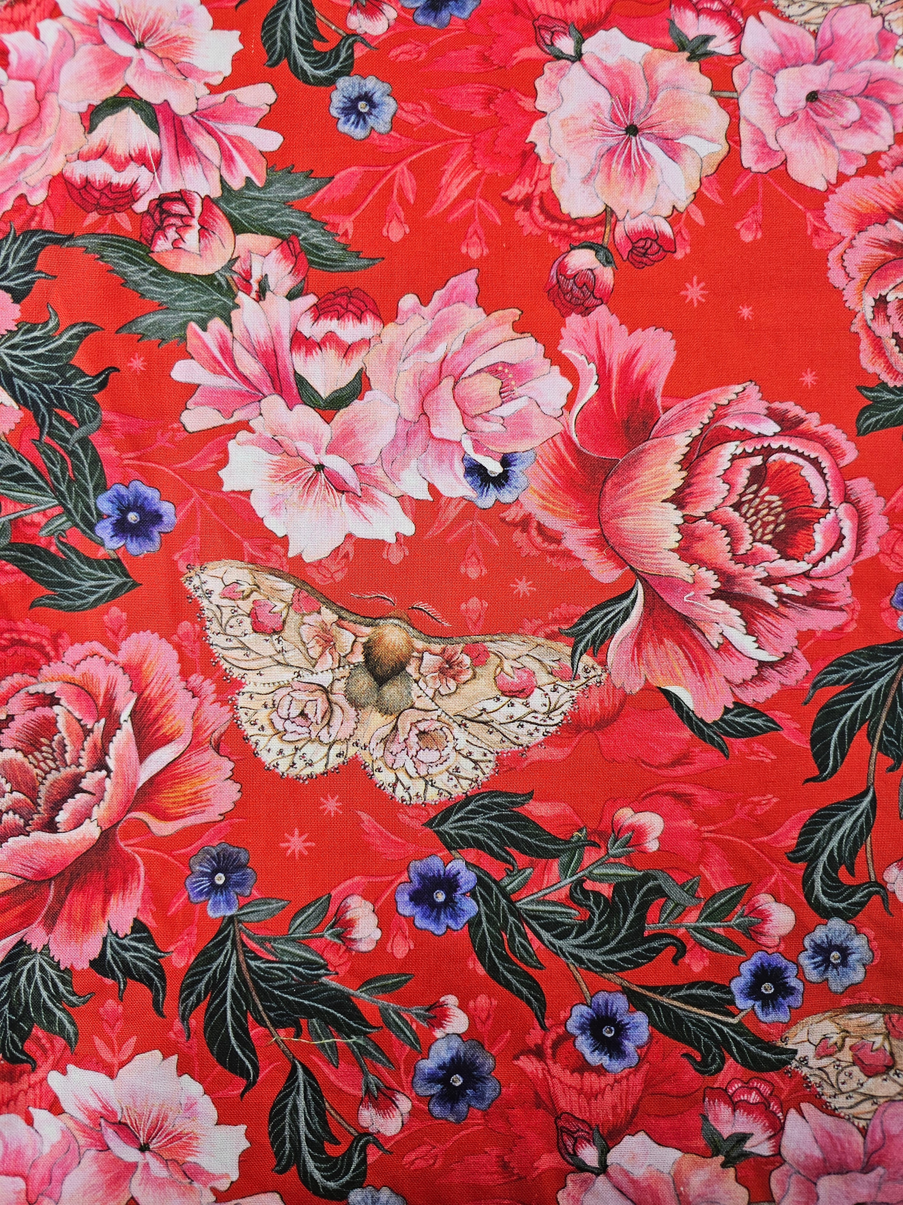 Butterfly rose