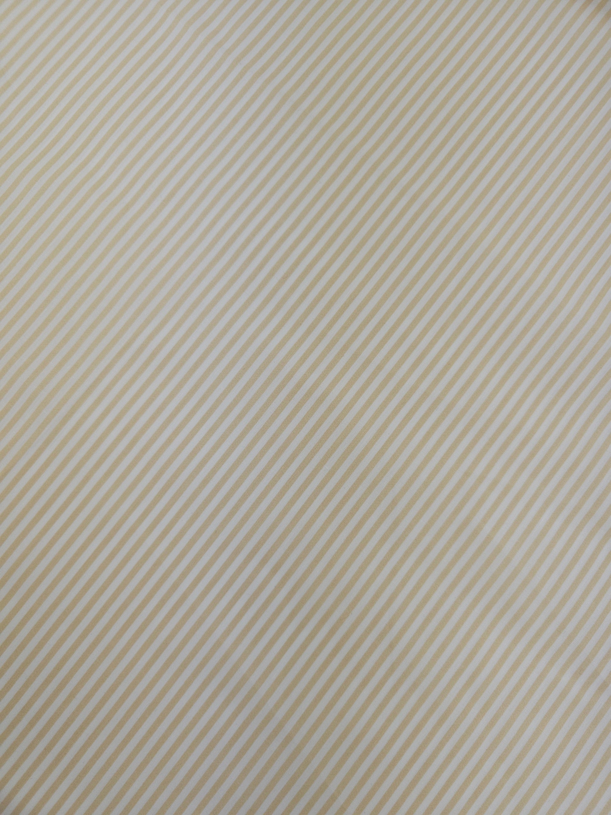 Warm Cream Stripe 100% Cotton 103" *EXTRA WIDE*
