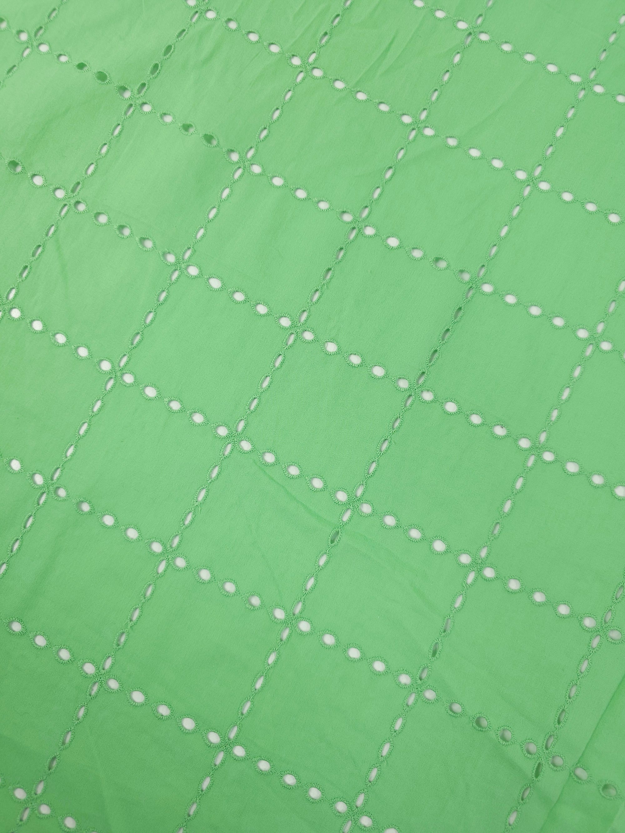 Pistachio Green Grid Cotton Poplin Broderie Anglaise