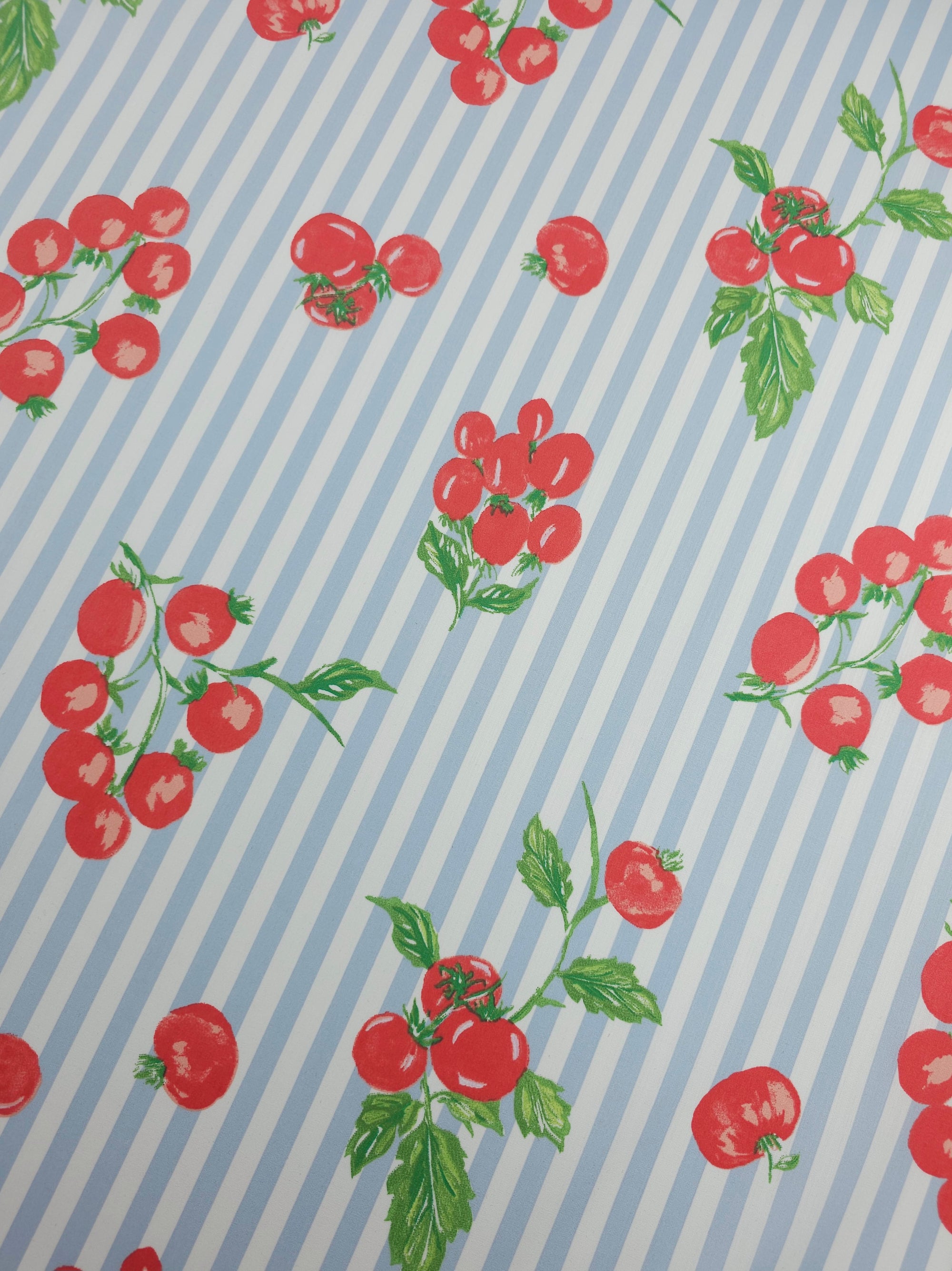 Baby Blue Stripe Tomato Vine Cotton Poplin