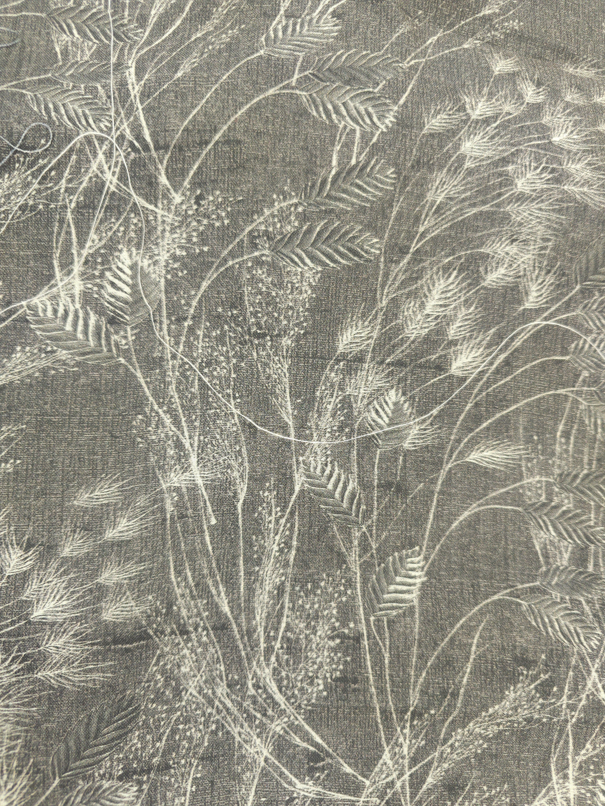 Dark grey wheat Cotton- 2.5m piece